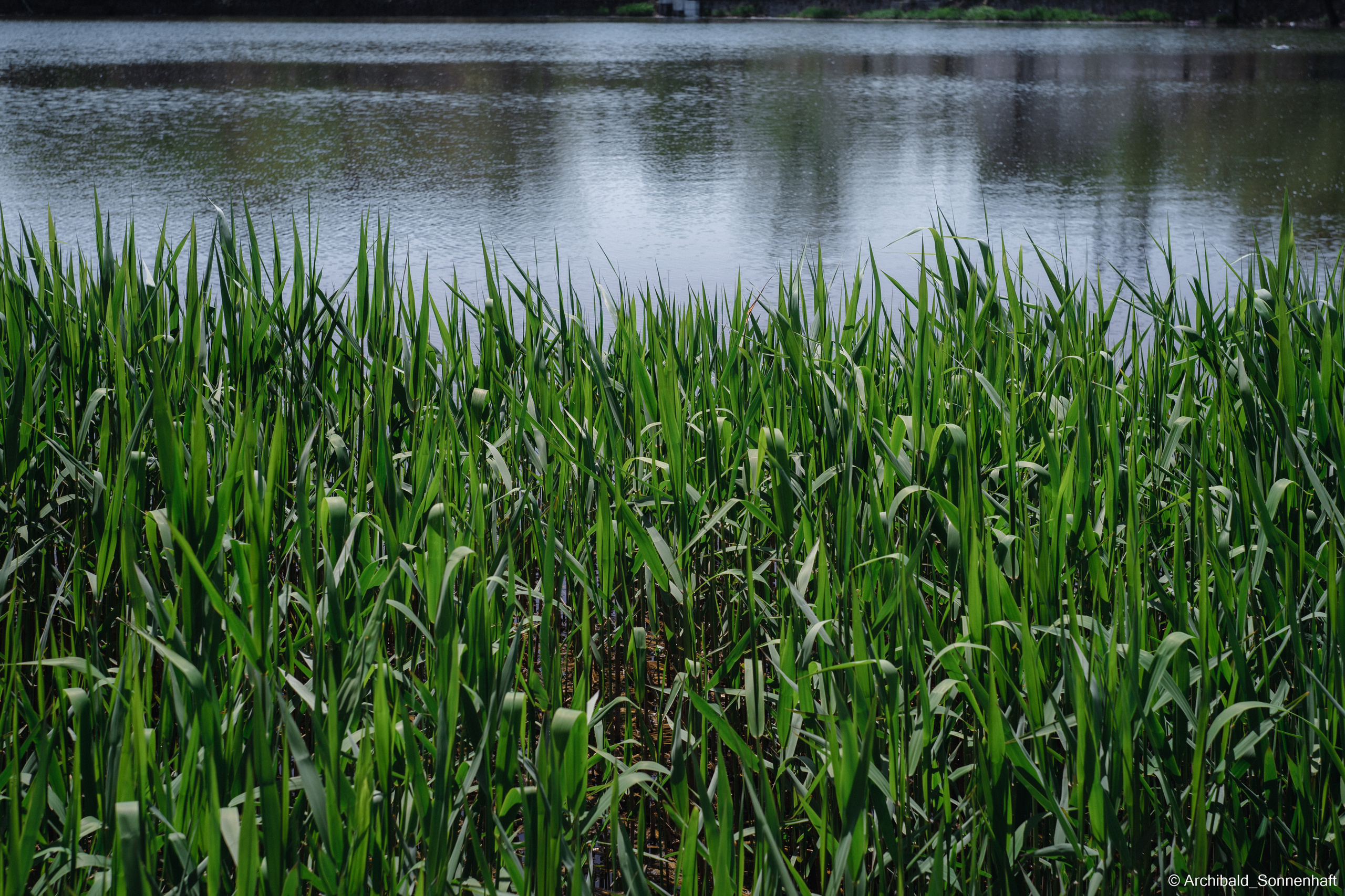 An unexpected walk around the university with my wife and argentine st. Photographer in Guangzhou, China. Archibald Sonnenhaft