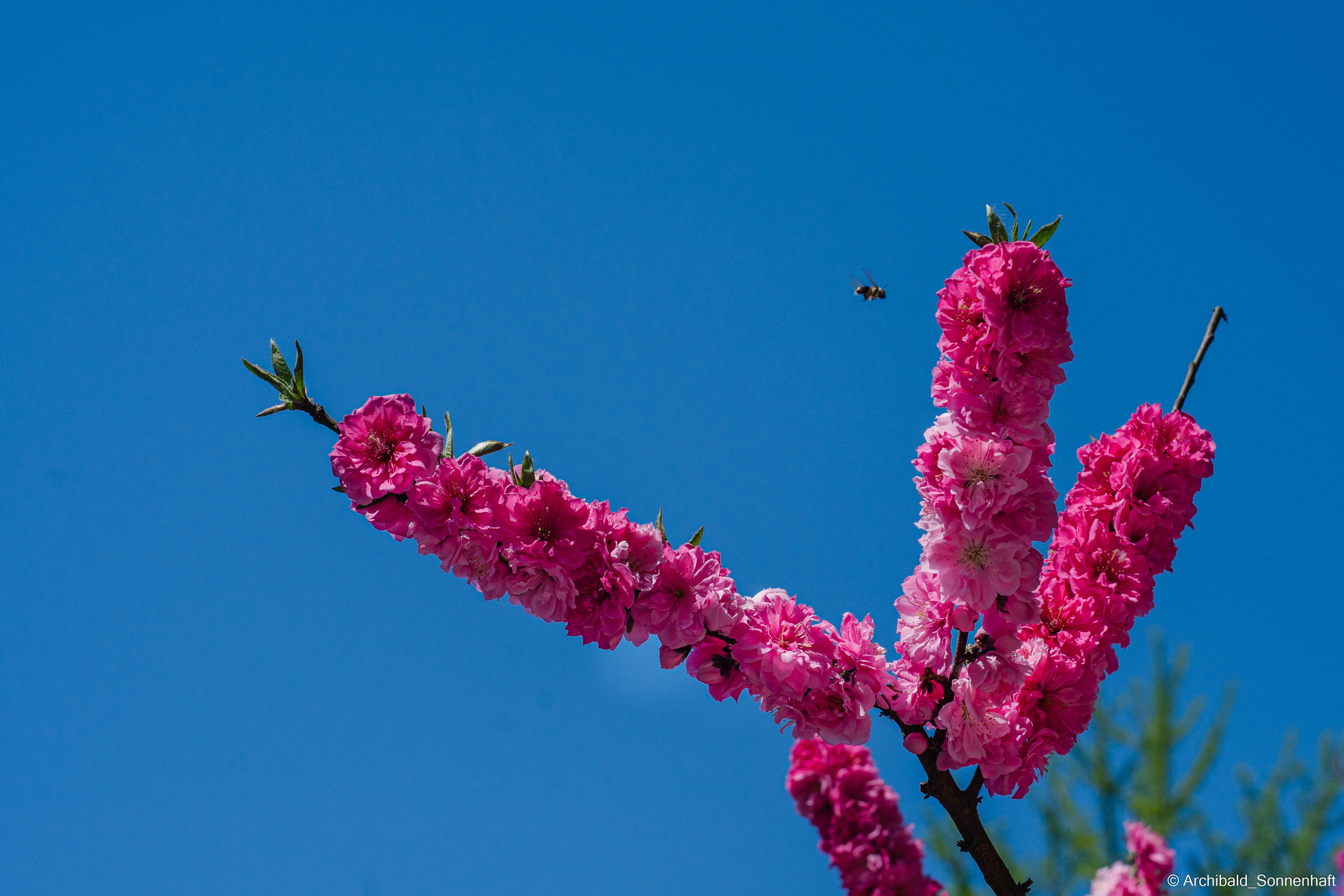 An unexpected walk around the university with my wife and argentine st. Photographer in Guangzhou, China. Archibald Sonnenhaft