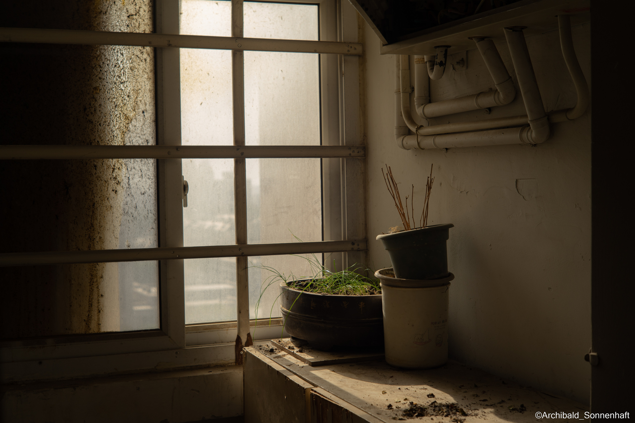 A dump filled with curious photos!. Photographer in Guangzhou, China. Archibald Sonnenhaft