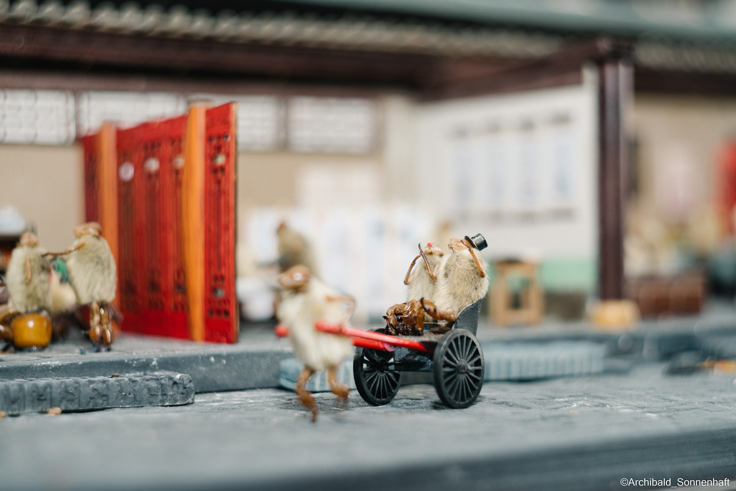 Tianjin specialty “hairy monkey”. Photographer in Guangzhou, China. Archibald Sonnenhaft