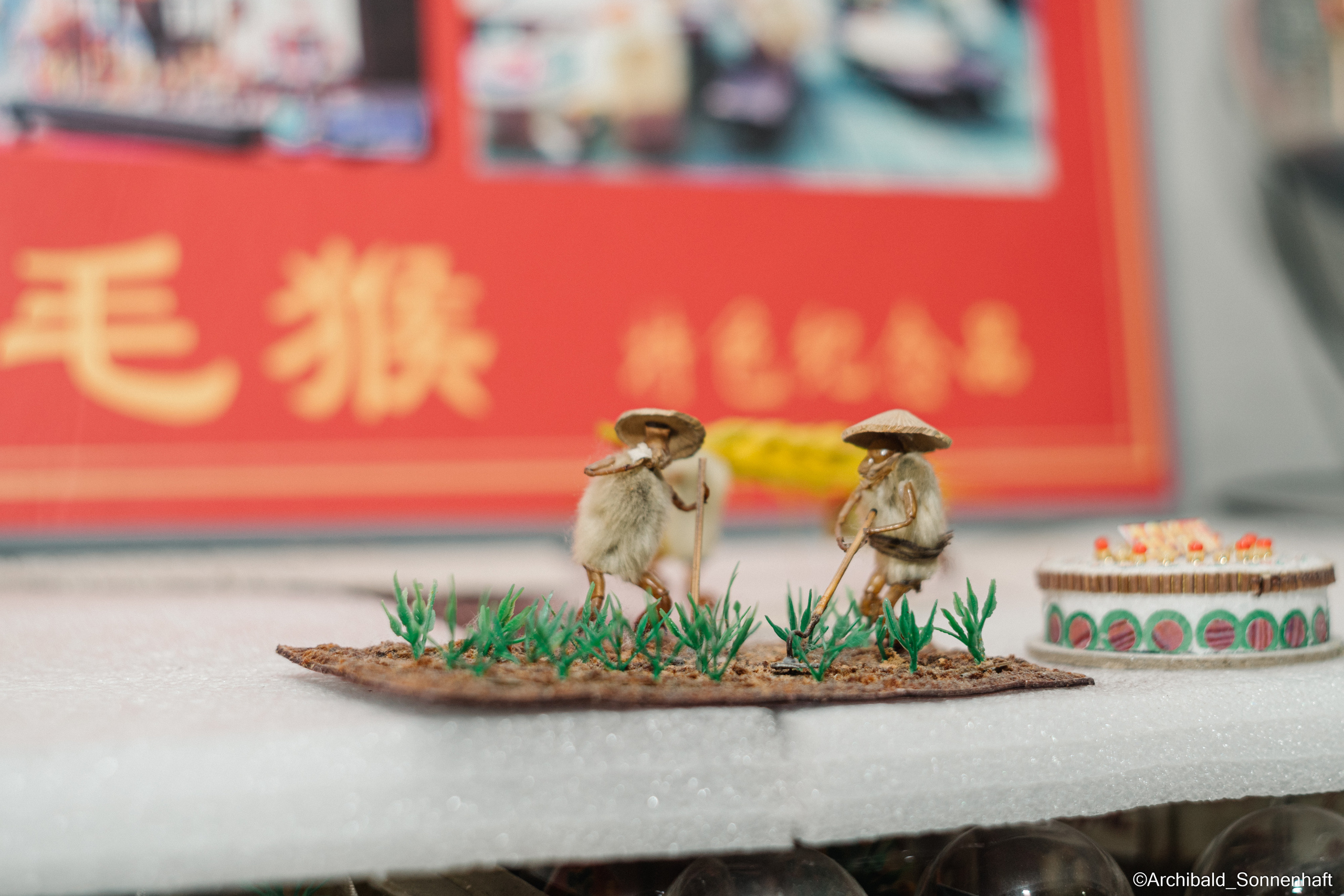 Tianjin specialty “hairy monkey”. Photographer in Guangzhou, China. Archibald Sonnenhaft