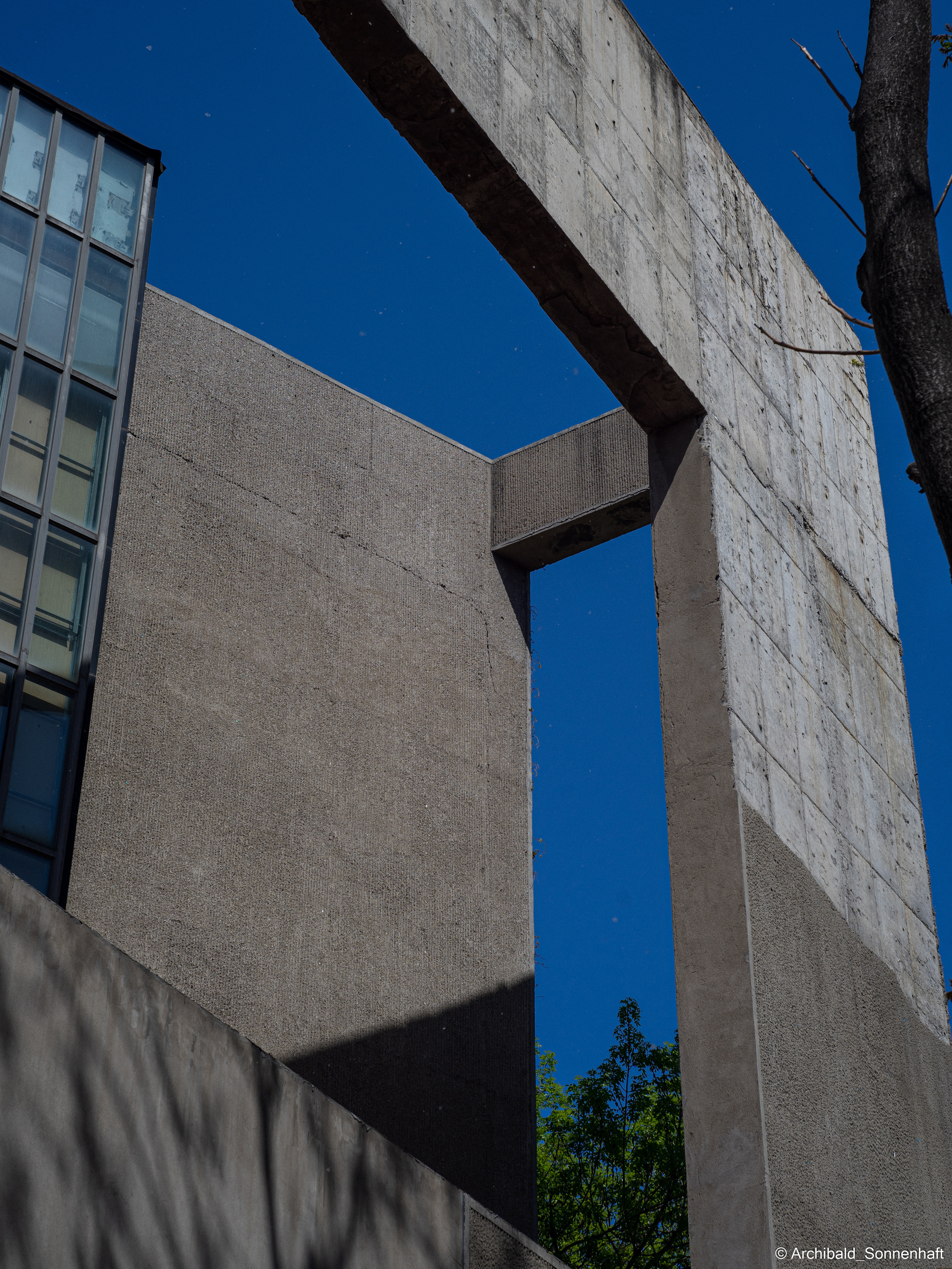 An unexpected walk around the university with my wife and argentine st. Photographer in Guangzhou, China. Archibald Sonnenhaft