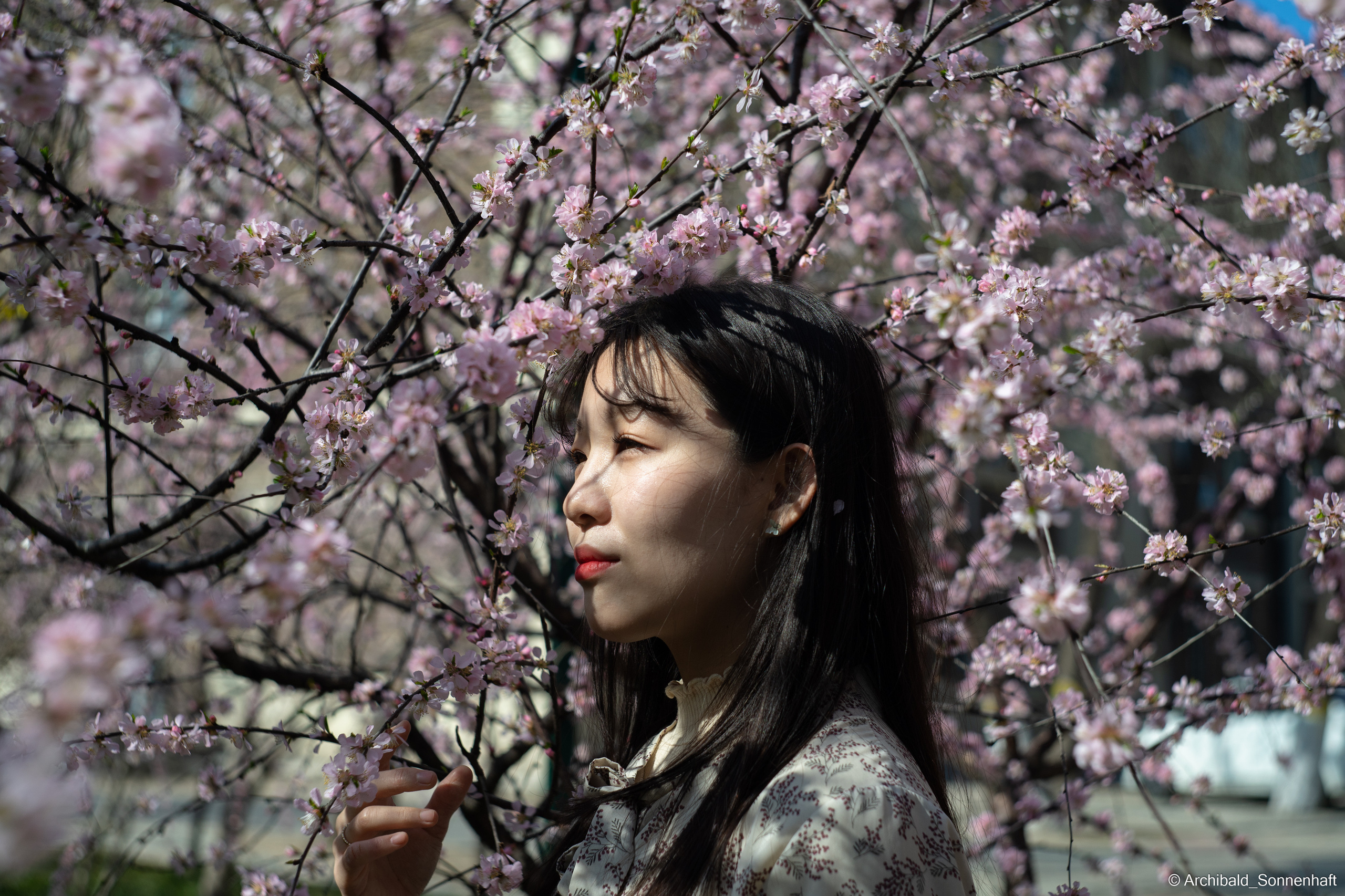 장유진 [jiang yu jin] — Korean student of the School of International Edu. Photographer in Guangzhou, China. Archibald Sonnenhaft