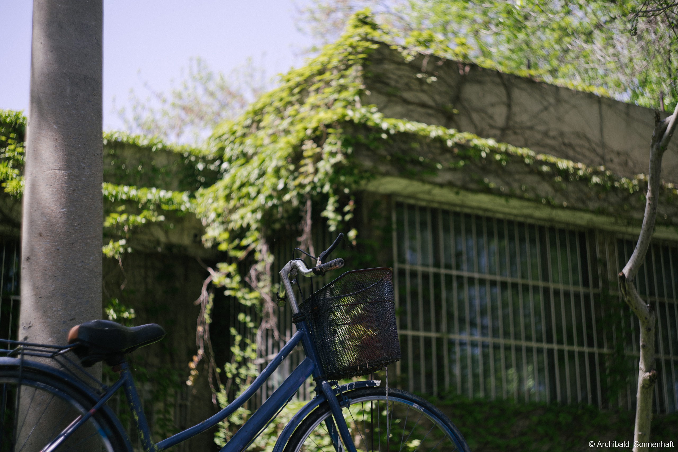 An unexpected walk around the university with my wife and argentine st. Photographer in Guangzhou, China. Archibald Sonnenhaft
