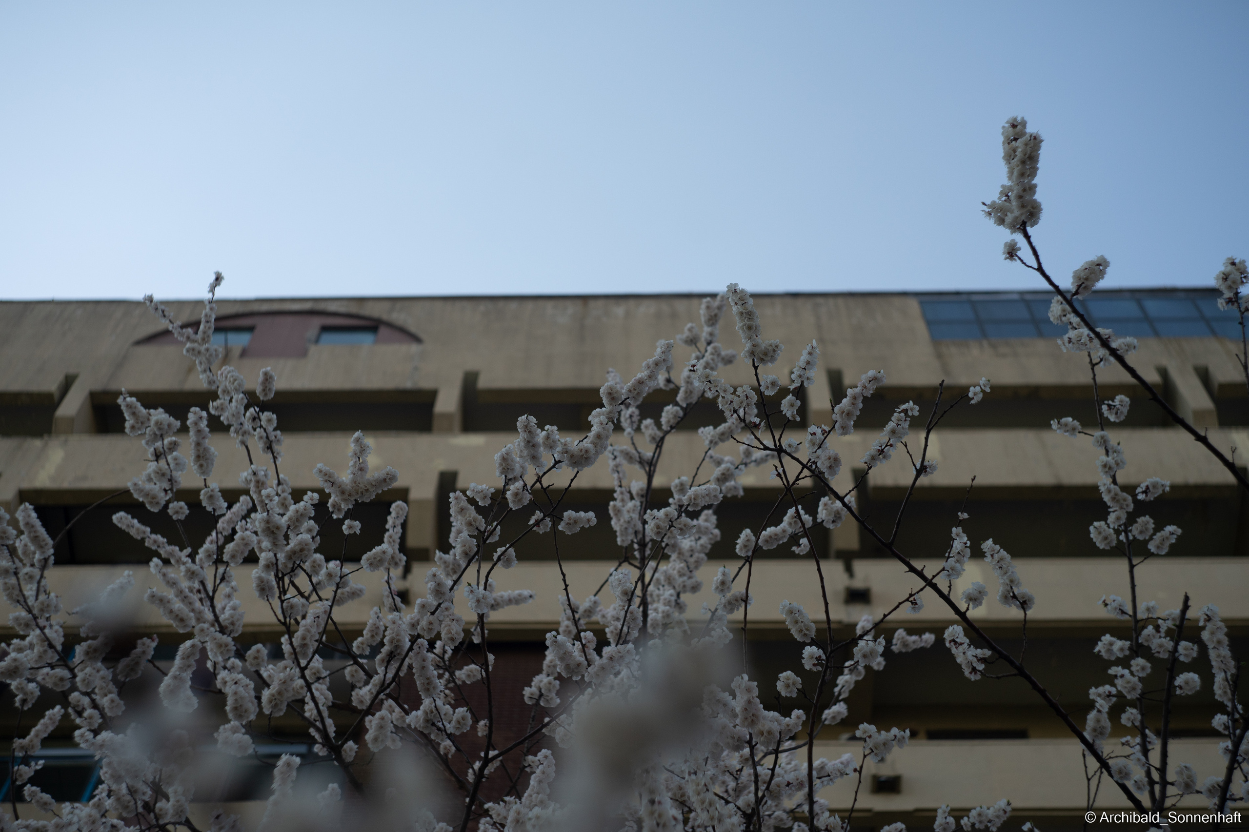 장유진 [jiang yu jin] — Korean student of the School of International Edu. Photographer in Guangzhou, China. Archibald Sonnenhaft