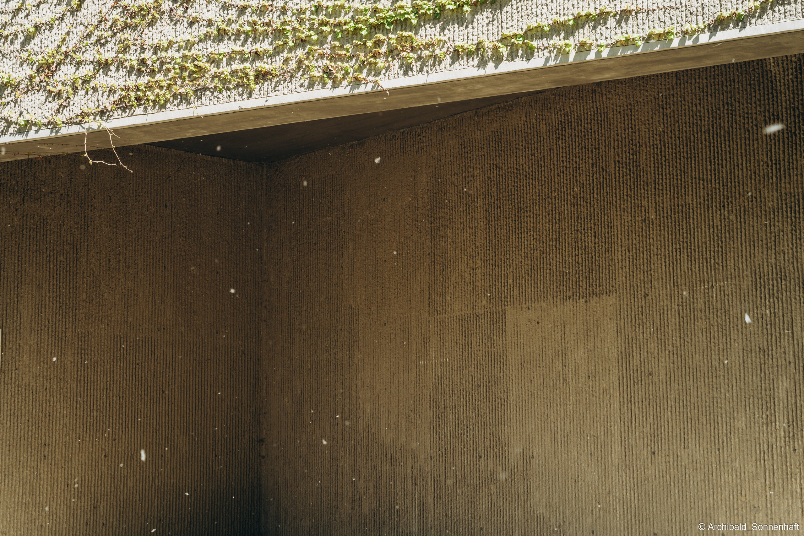 An unexpected walk around the university with my wife and argentine st. Photographer in Guangzhou, China. Archibald Sonnenhaft