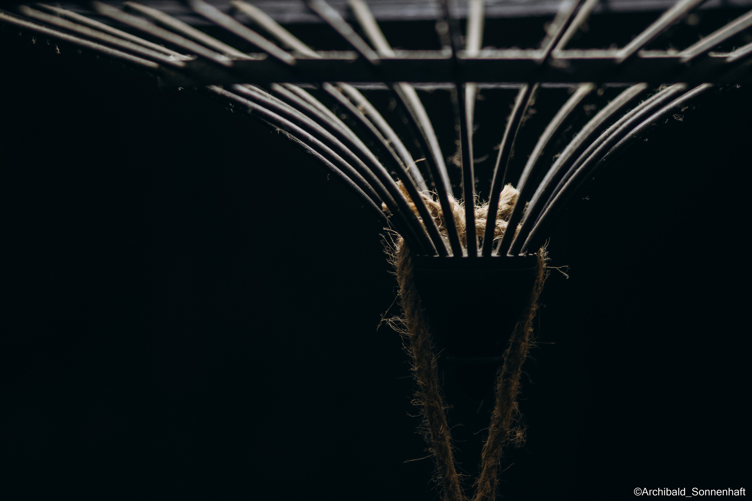 A dump filled with curious photos!. Photographer in Guangzhou, China. Archibald Sonnenhaft
