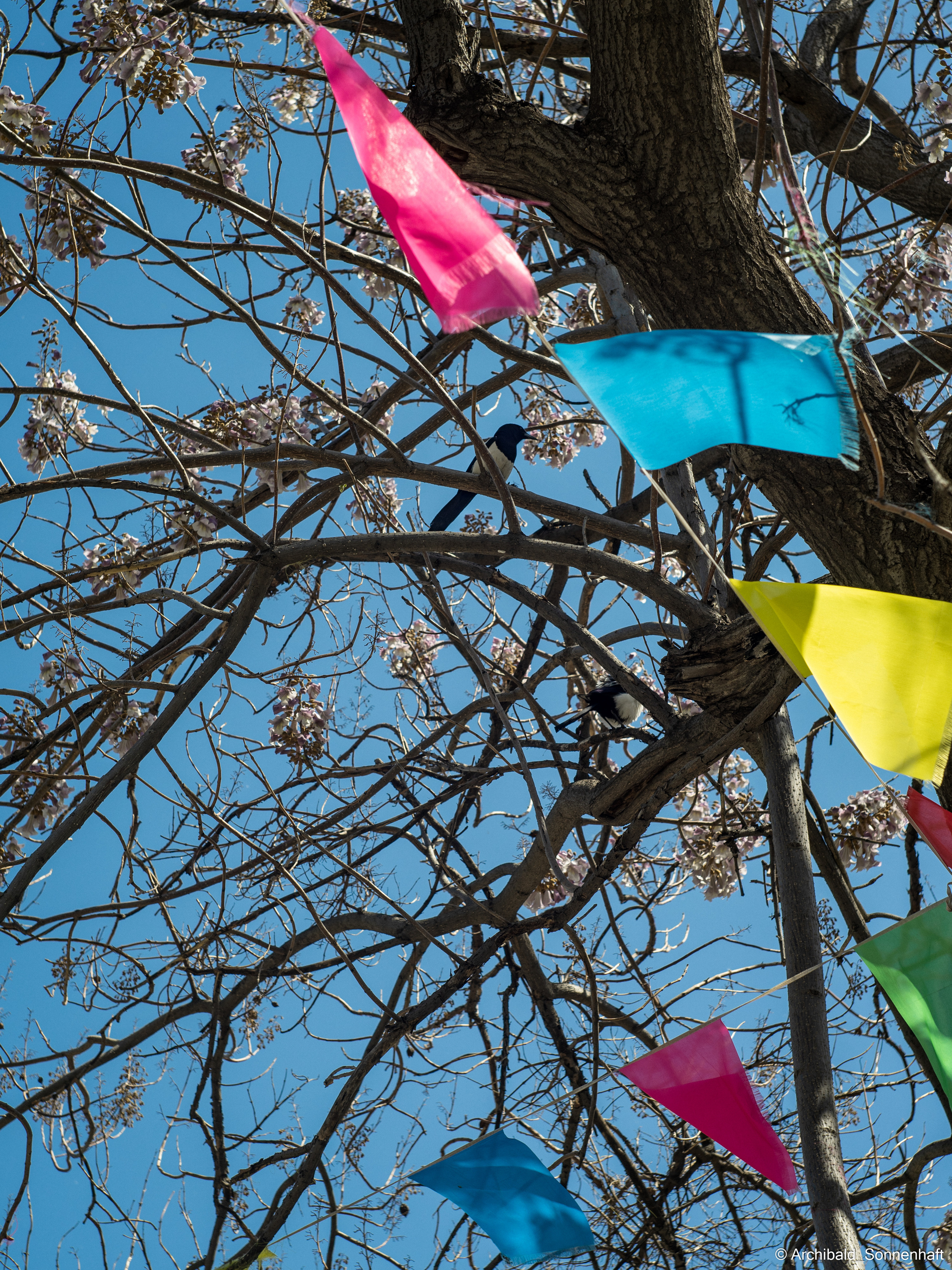 An unexpected walk around the university with my wife and argentine st. Photographer in Guangzhou, China. Archibald Sonnenhaft