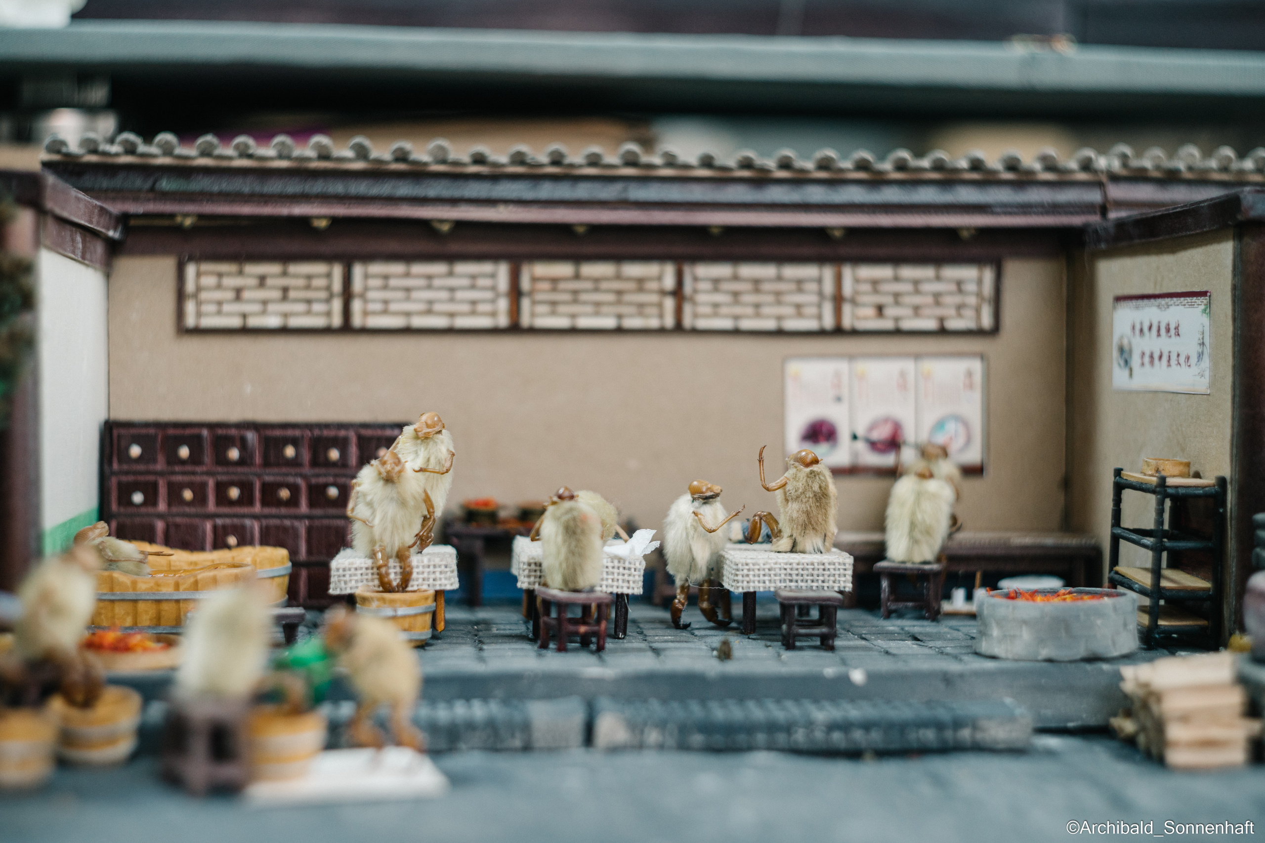 Tianjin specialty “hairy monkey”. Photographer in Guangzhou, China. Archibald Sonnenhaft