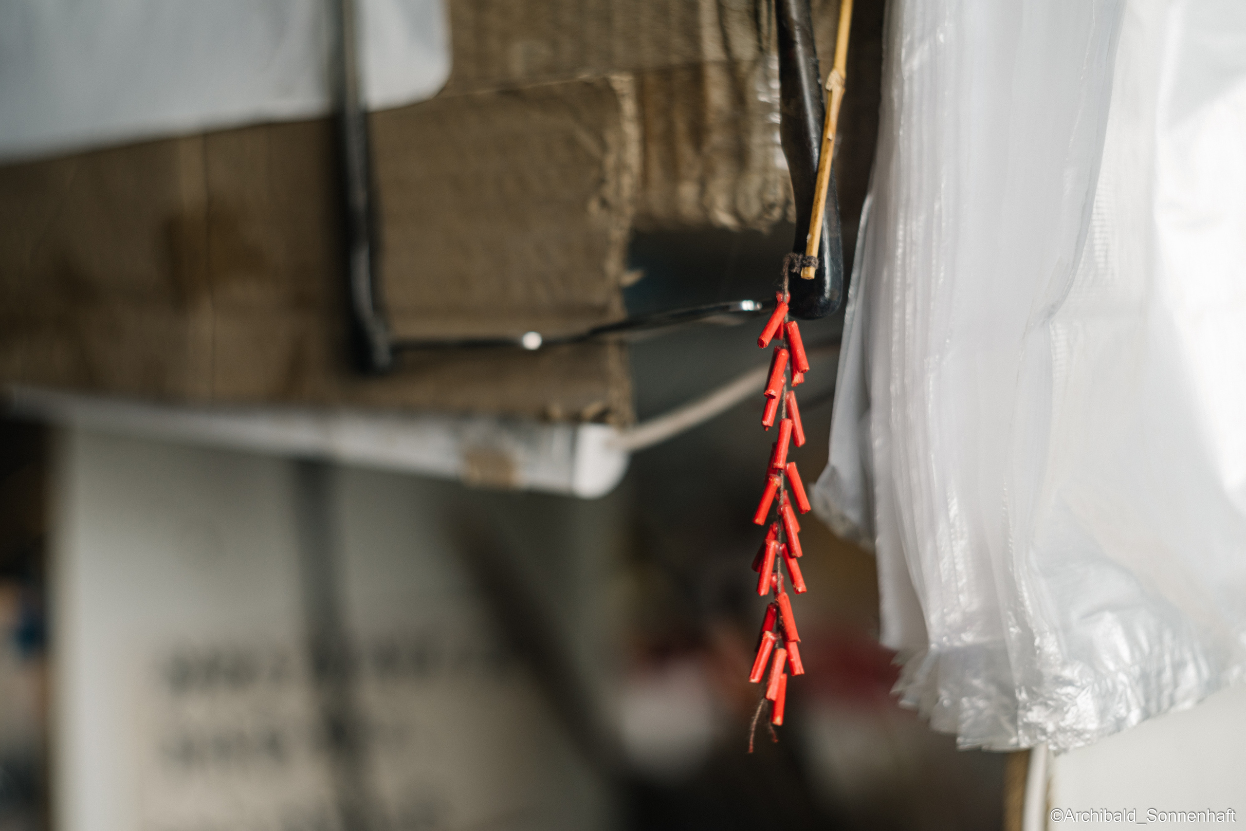 Tianjin specialty “hairy monkey”. Photographer in Guangzhou, China. Archibald Sonnenhaft