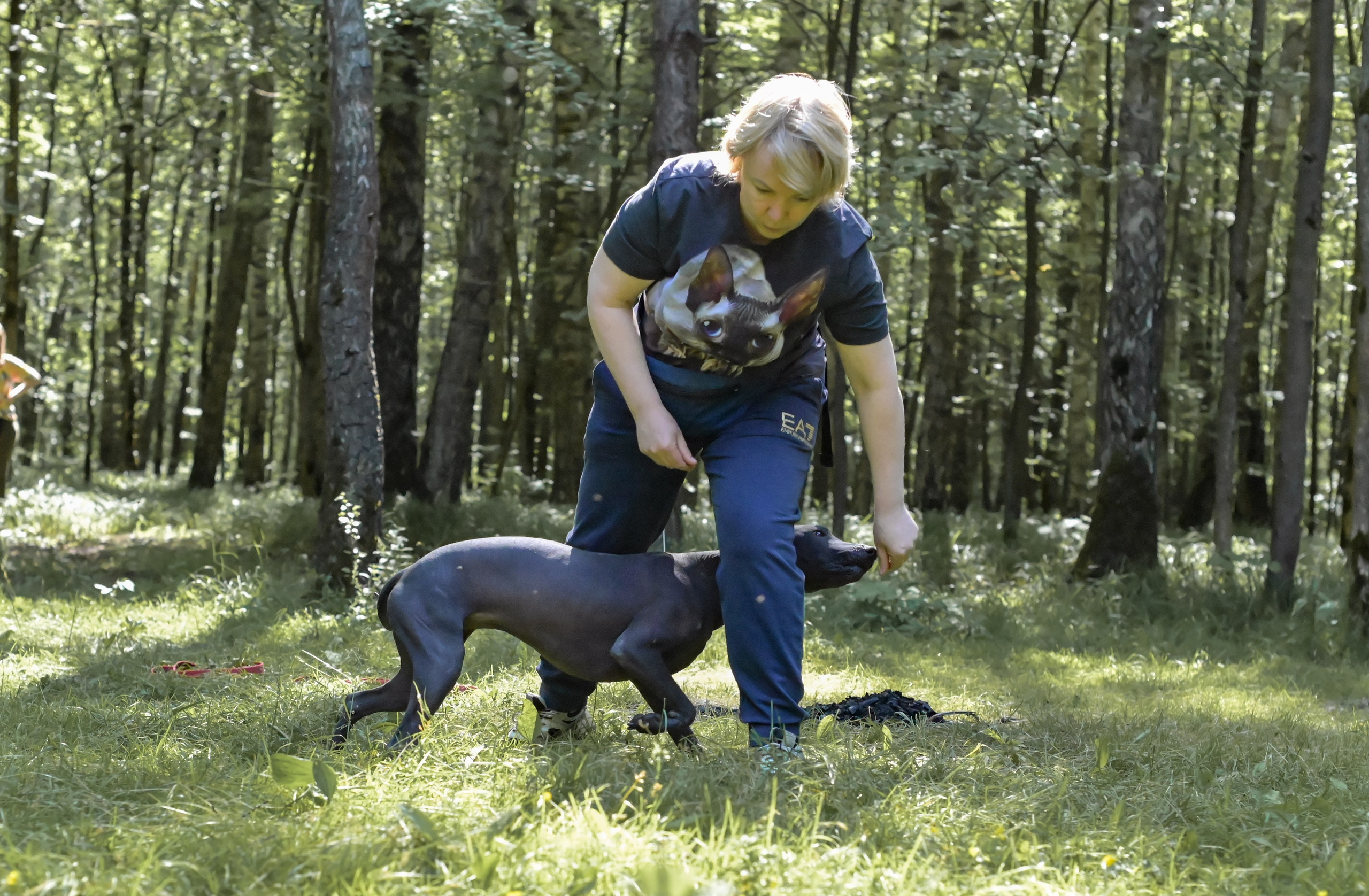 Кинологические соревнования. Семейный и репортажный фотограф в Москве Анастасия Трубкина