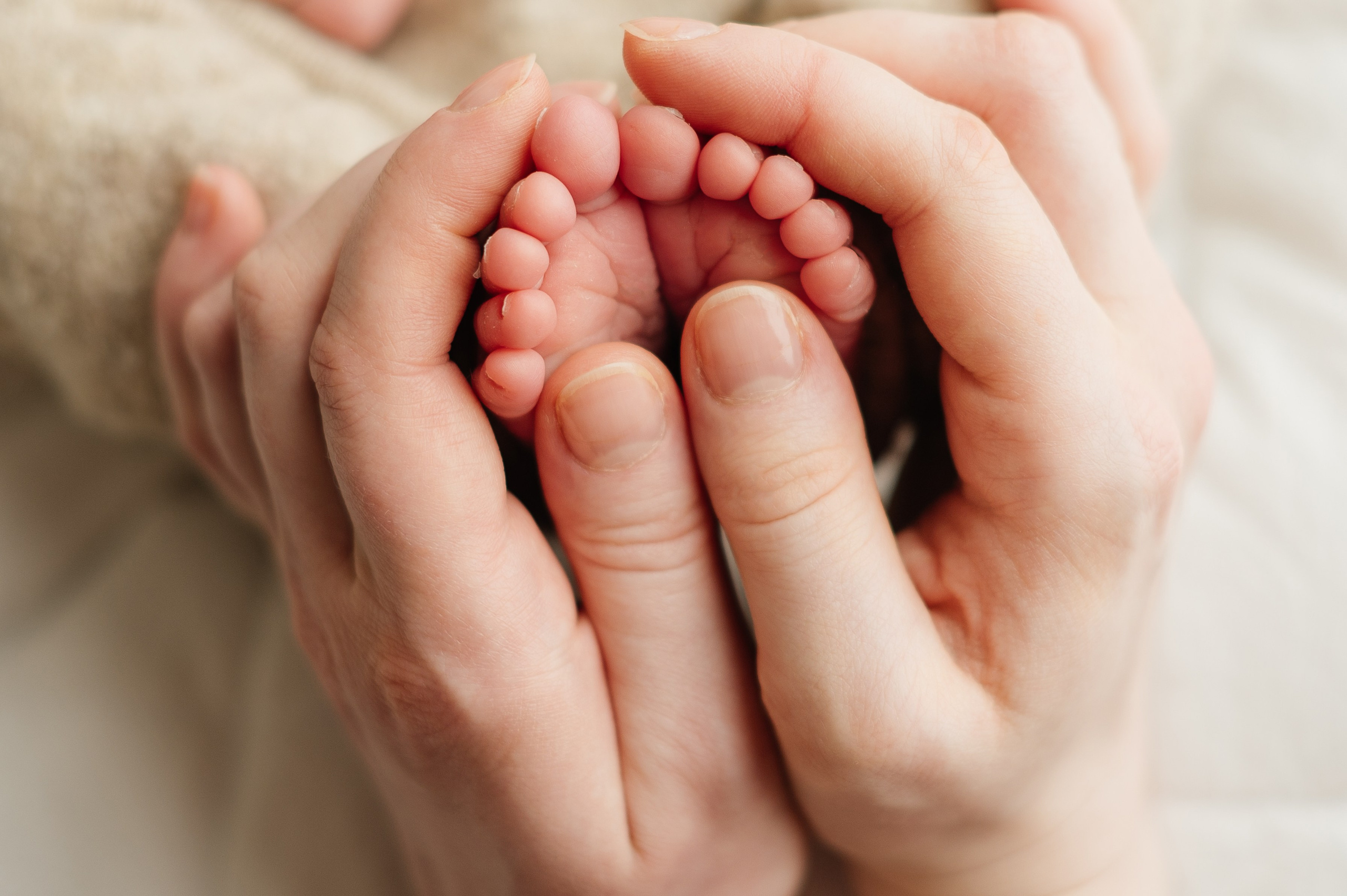 Захар. Свадебный и семейный фотограф Кореновск/Краснодар