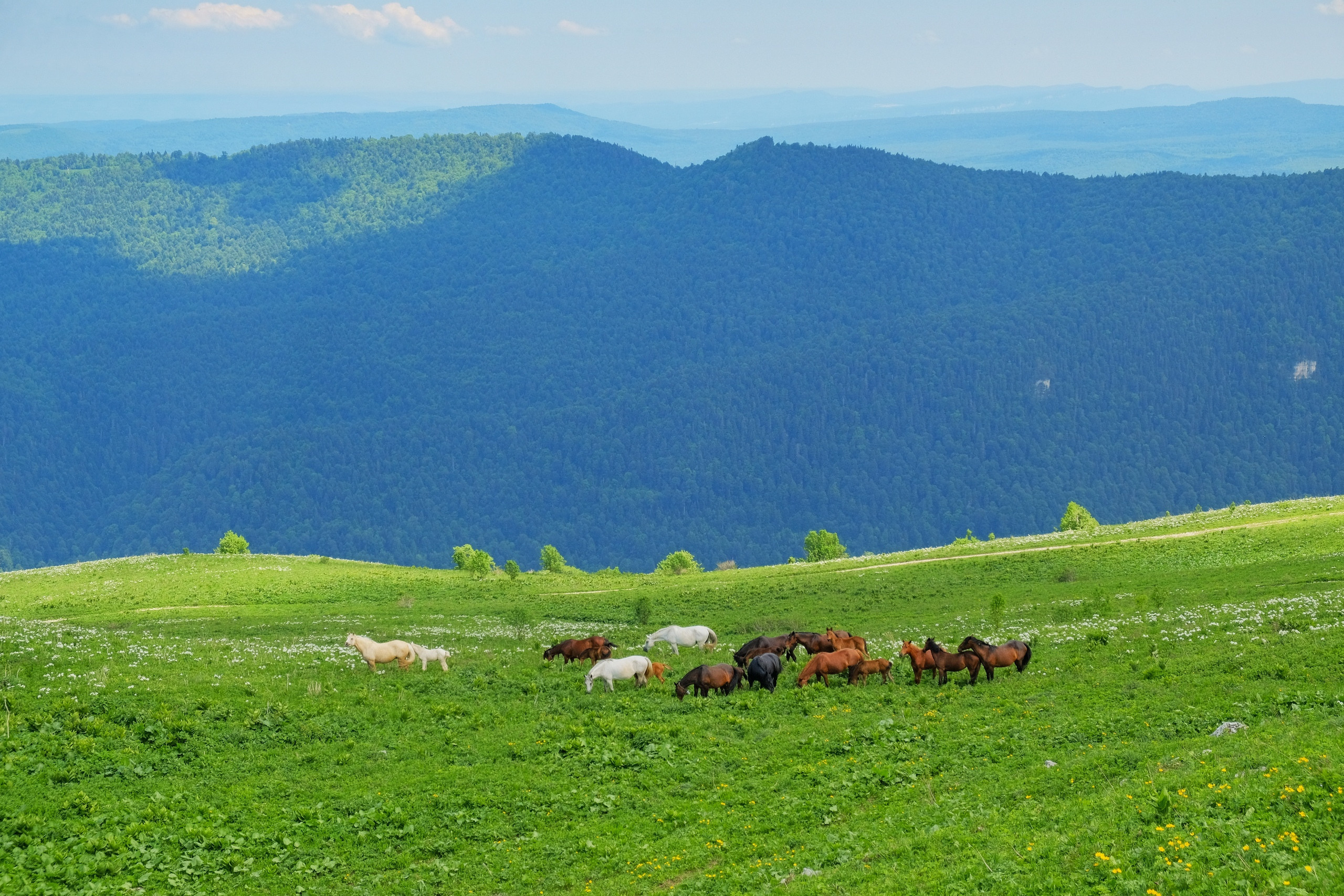 Лагонакский хребет. Пейзажный фотограф Олеся Федосеенкова. Фудфотограф в Туапсе, Краснодар