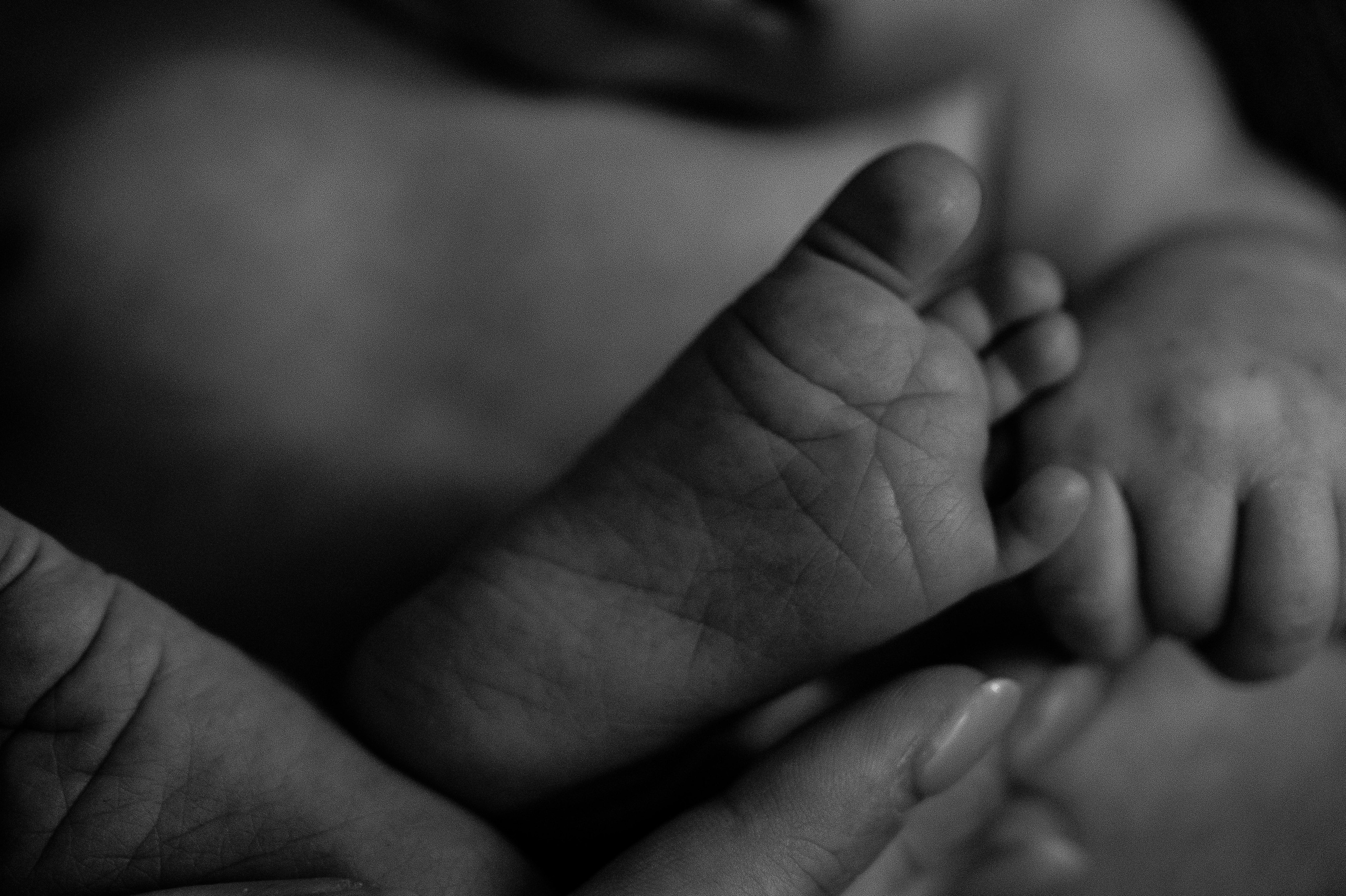 Анна, Вячеслав и Евгений. Фотограф беременности и семьи, домашние съемки, Ньюборн