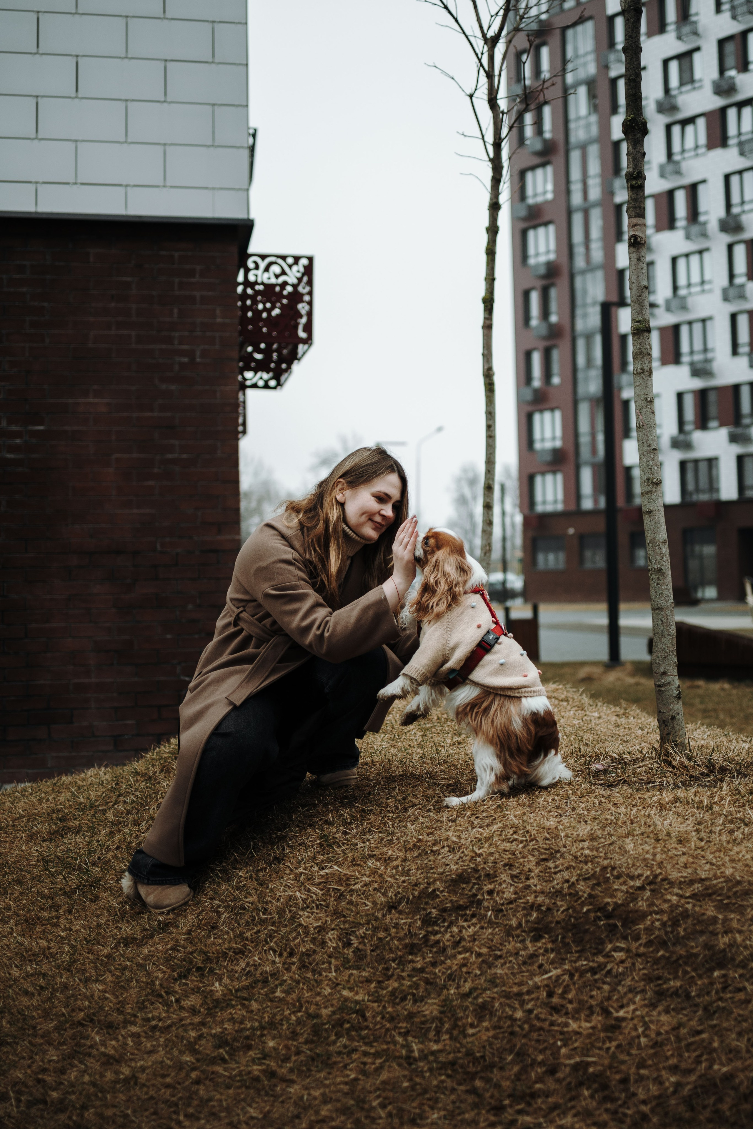 Любовь и Альтаир