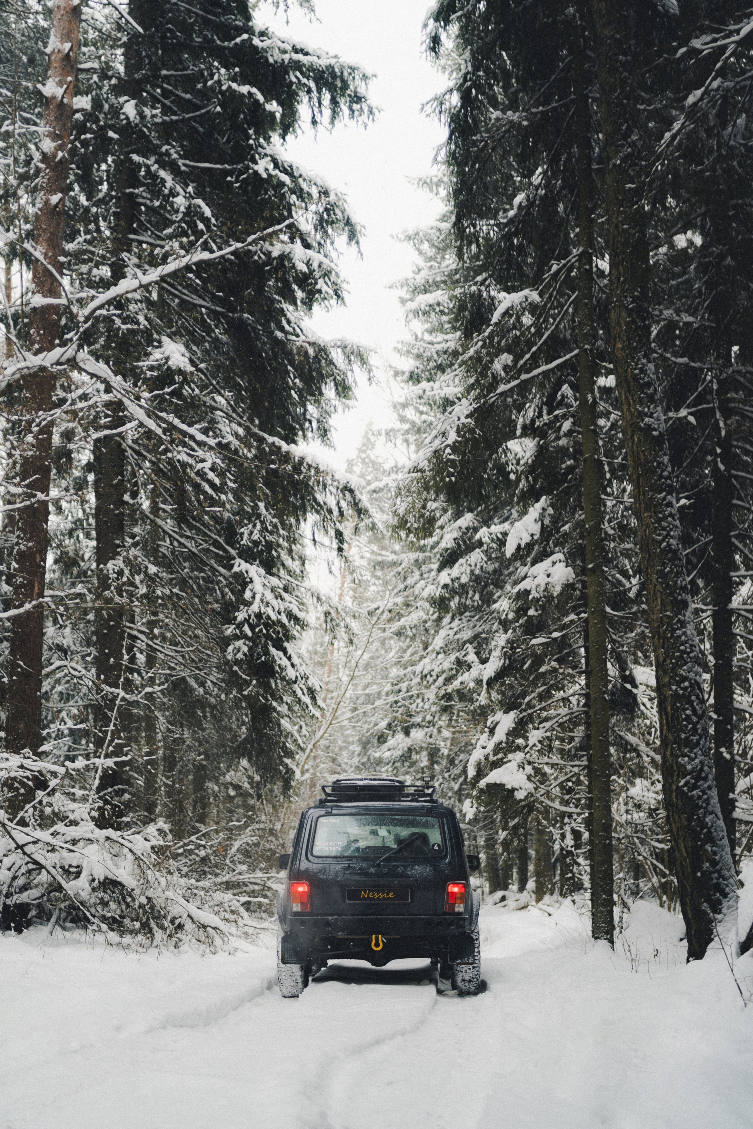 Niva Bronto (Nessie) x FAUNO. Фотограф Илья К. в Москве