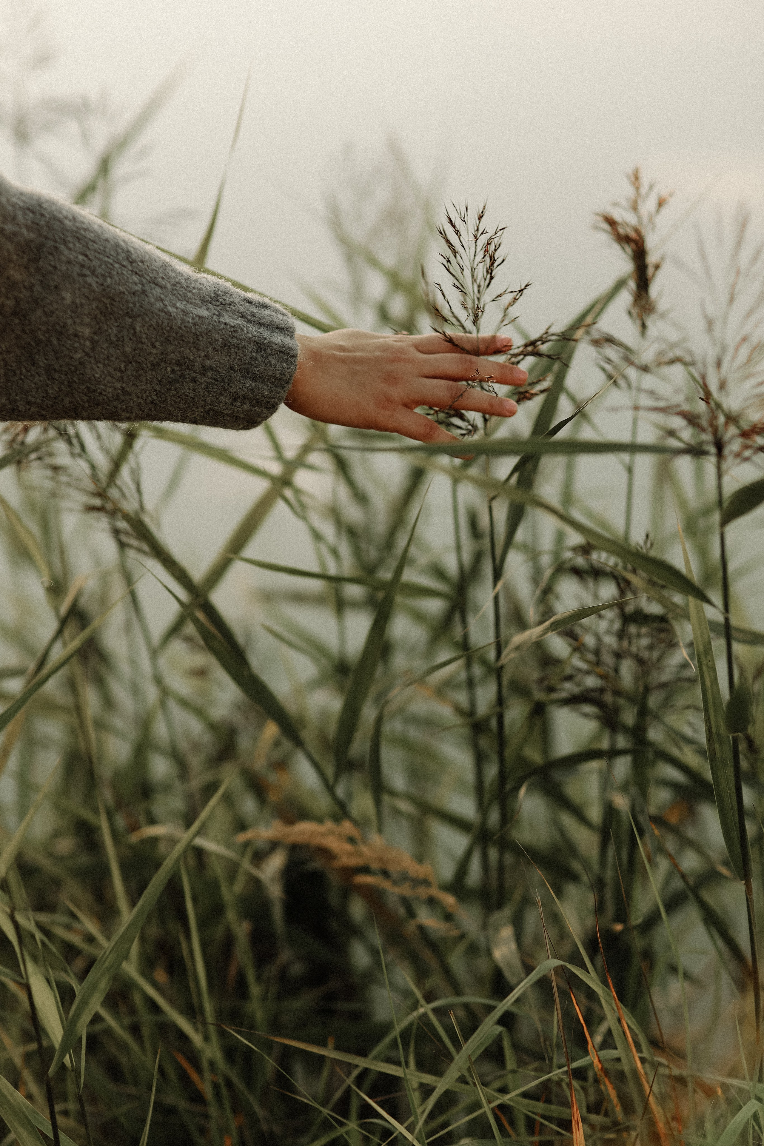 Камилла. Детский и семейный фотограф, съемка новорожденных Москва