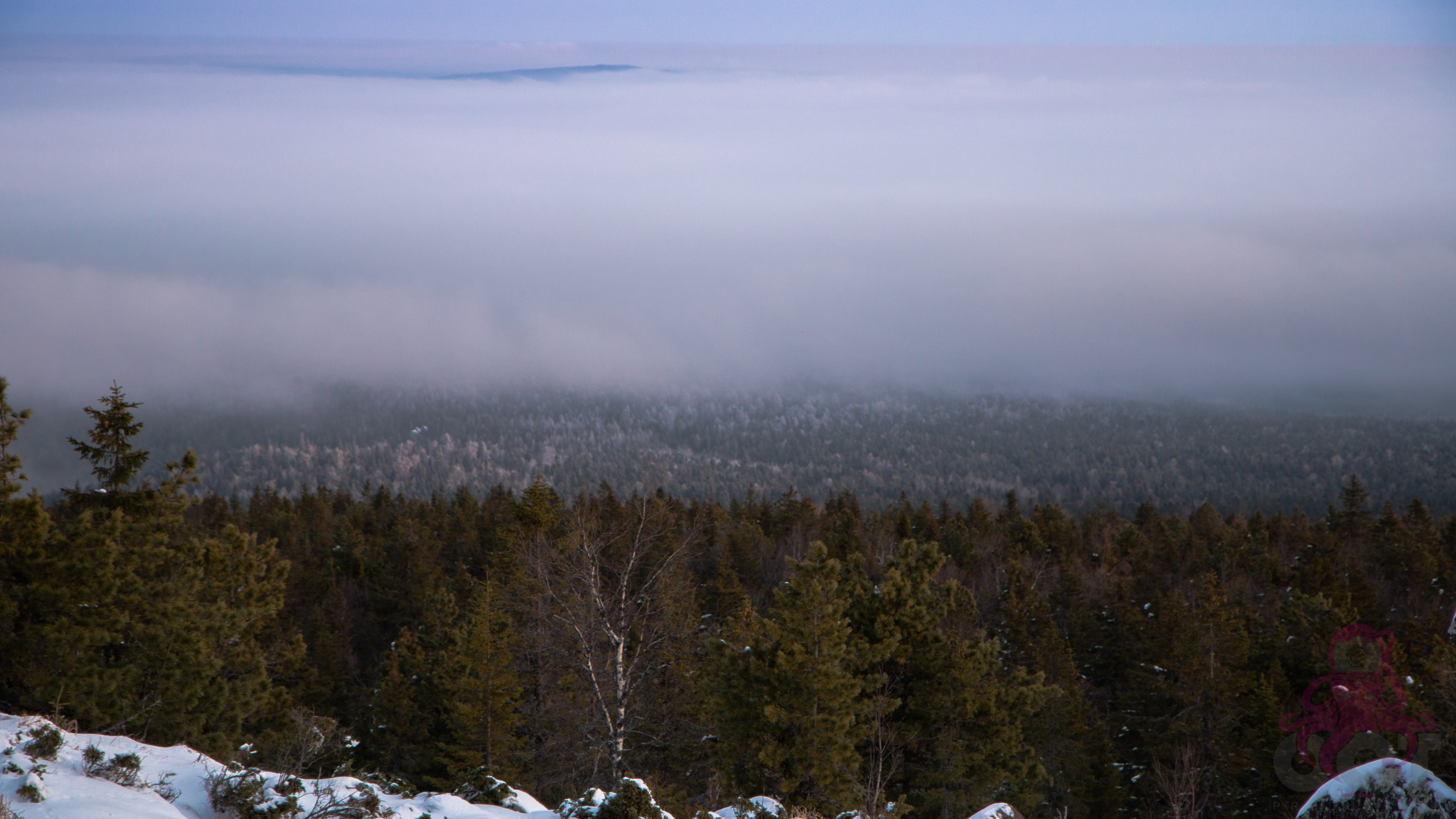 Буддистский монастырь Шад Тчуп Линг. Предметный и репортажный фотограф Алексей Кротов