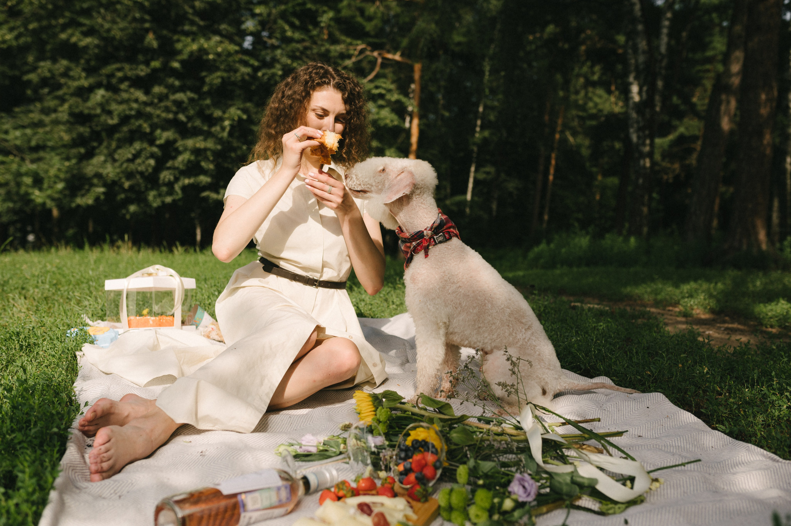 Лиза и Каспер. Фотограф анималист в Москве Ольга Агушева