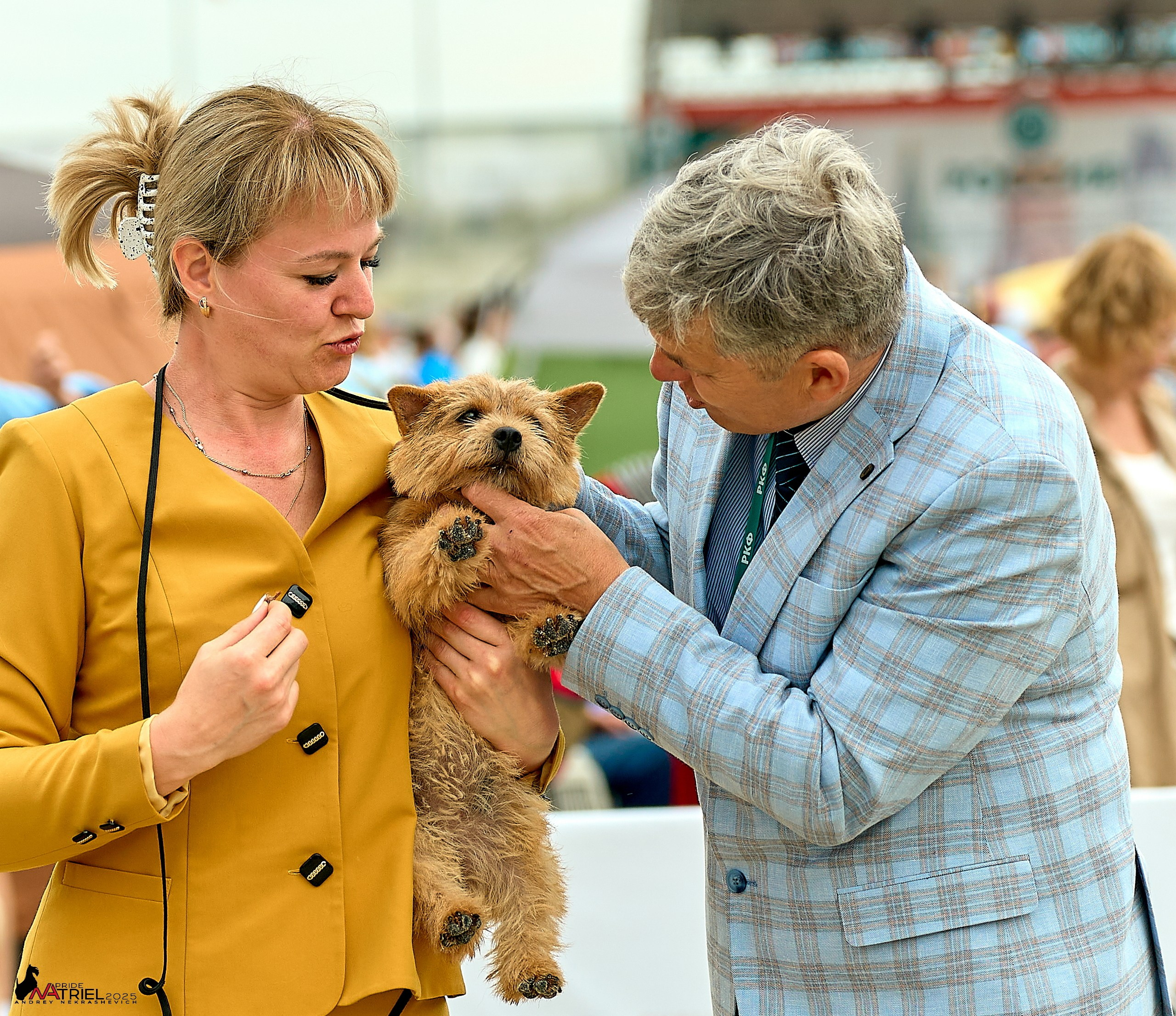 Выставка собак РОССИЯ — 2025