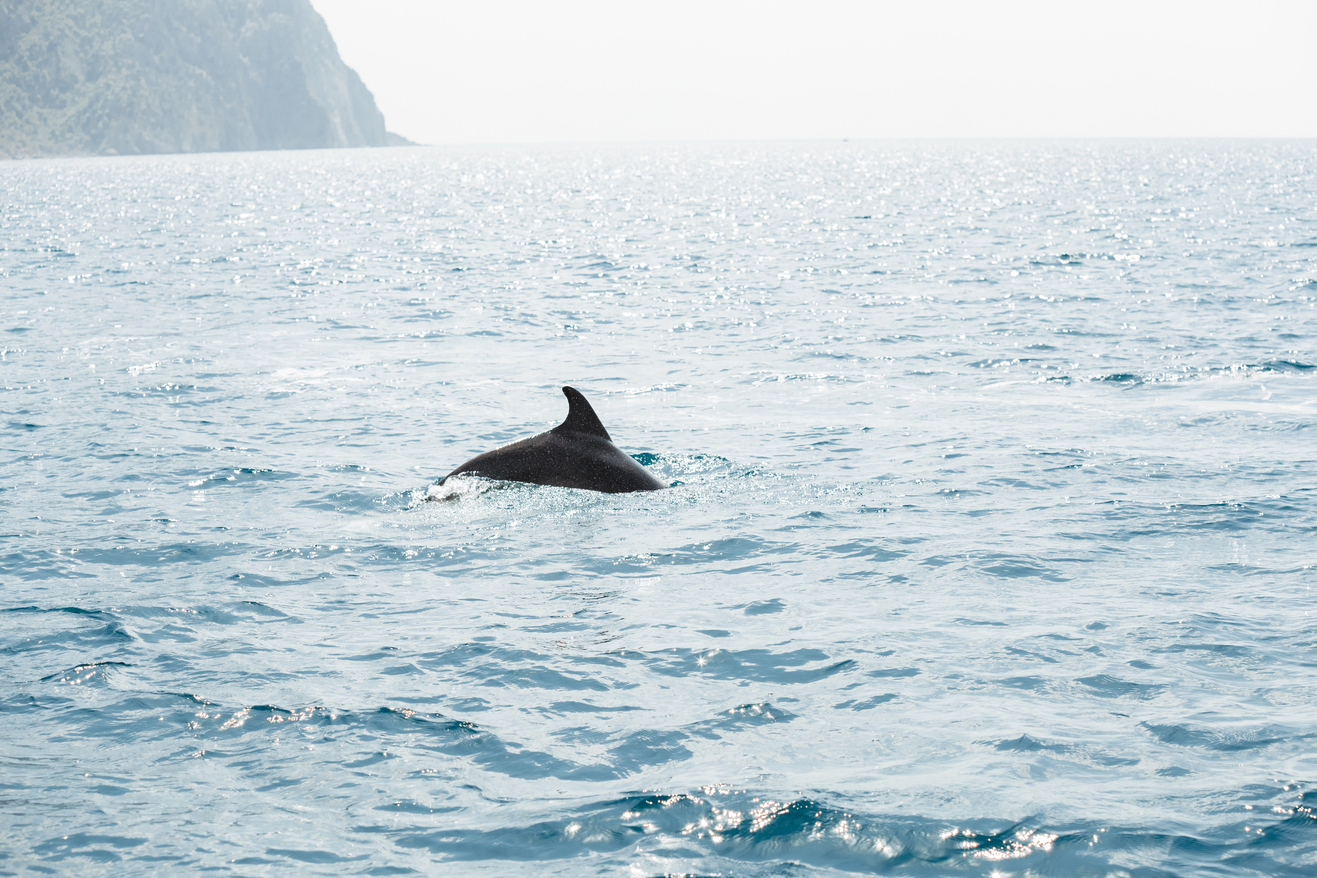 Морская Романтика. Артем Корнев Фотограф