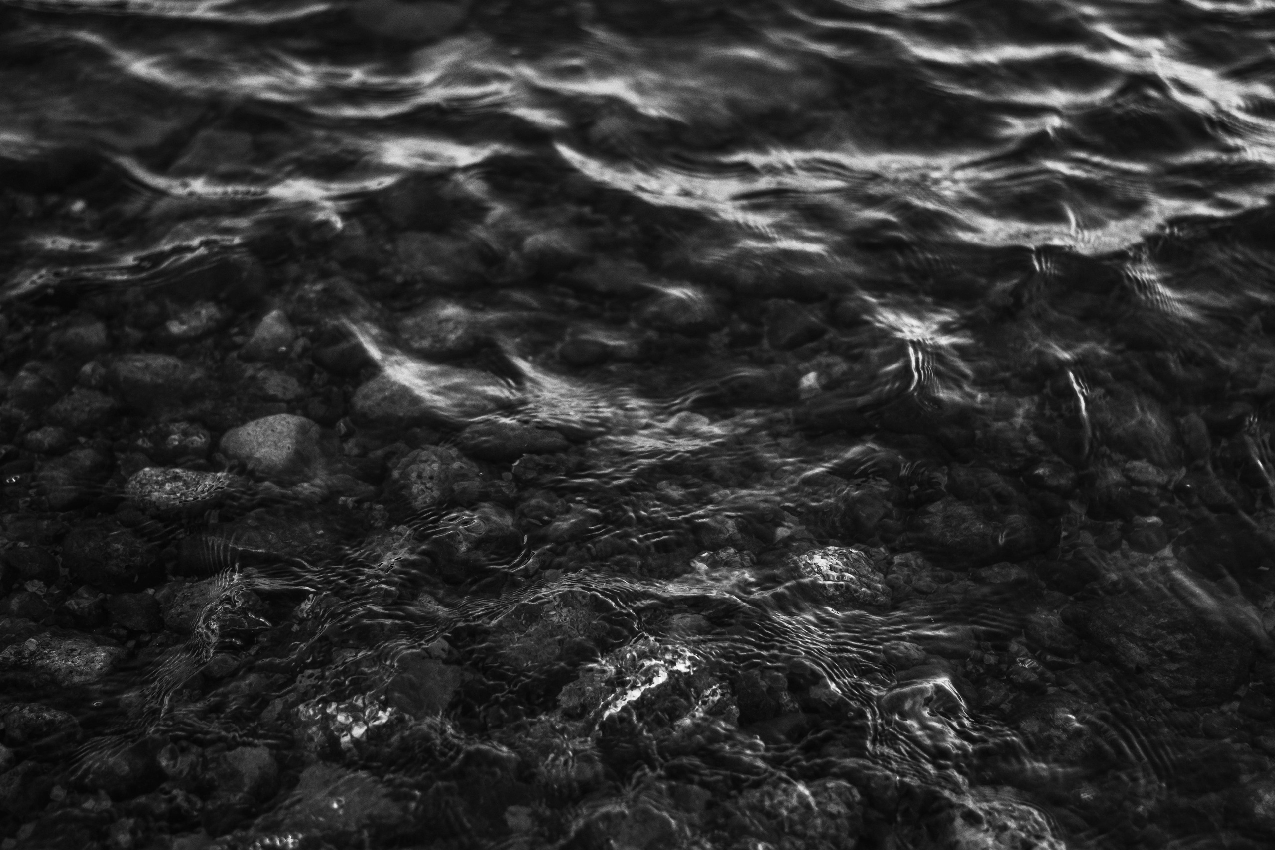 Леонид. Фотограф Санкт-Петербург