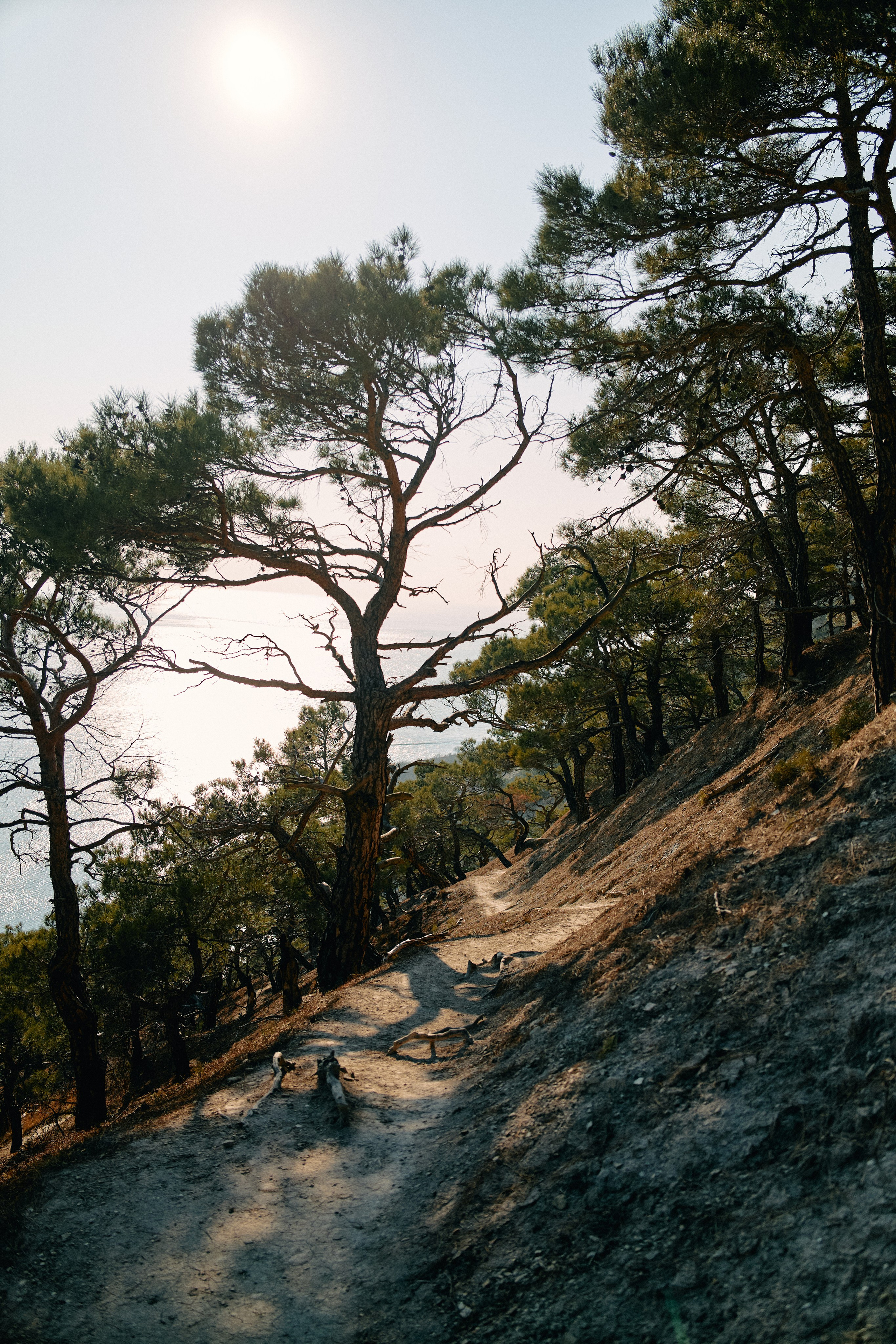 Юг России. Профессиональный Фотограф во Владимире, в Москве и в Суздале — Полина Романычева