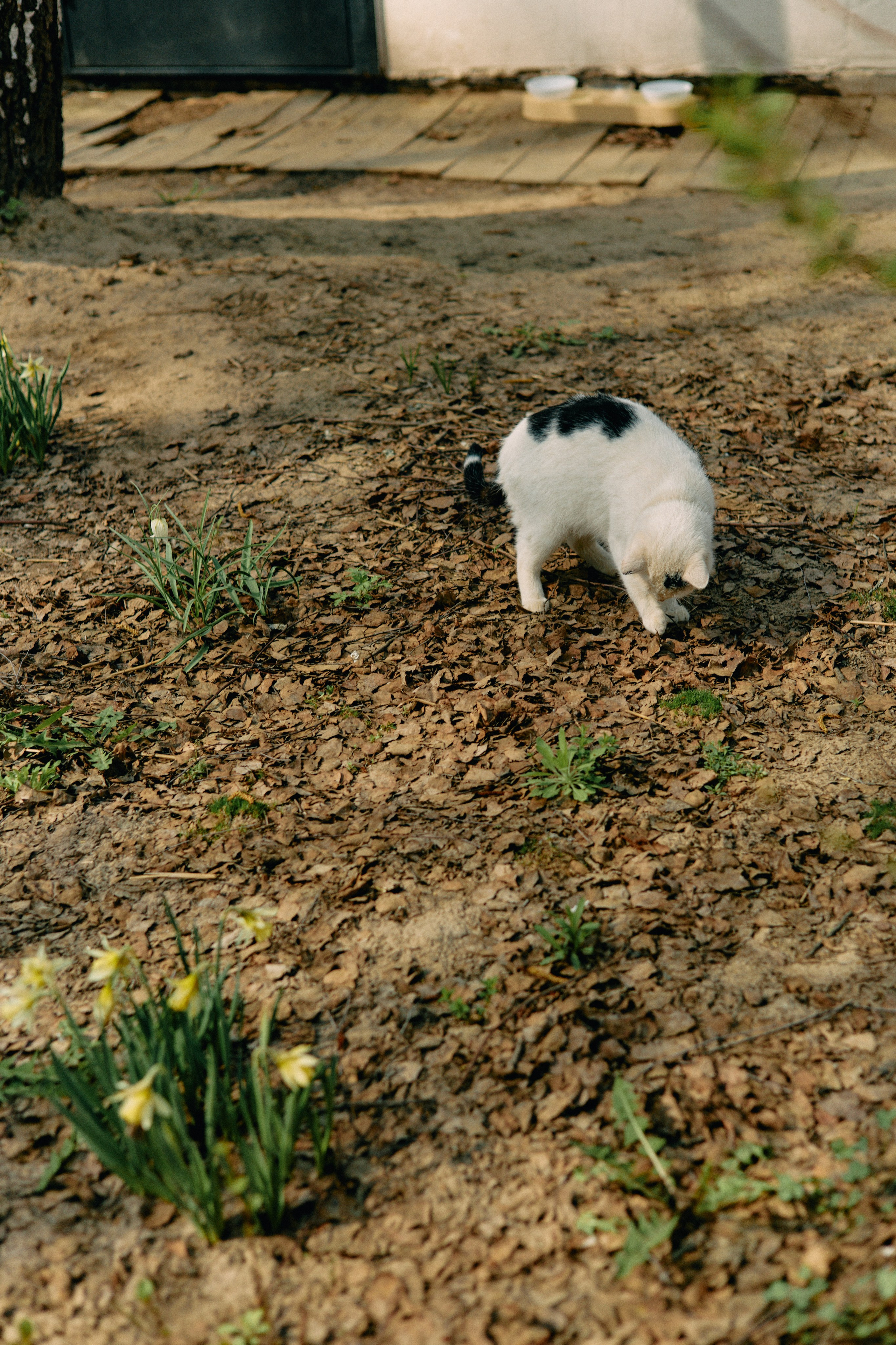 Бутик-отель Поле летом. Профессиональный Фотограф во Владимире, в Москве и в Суздале — Полина Романычева