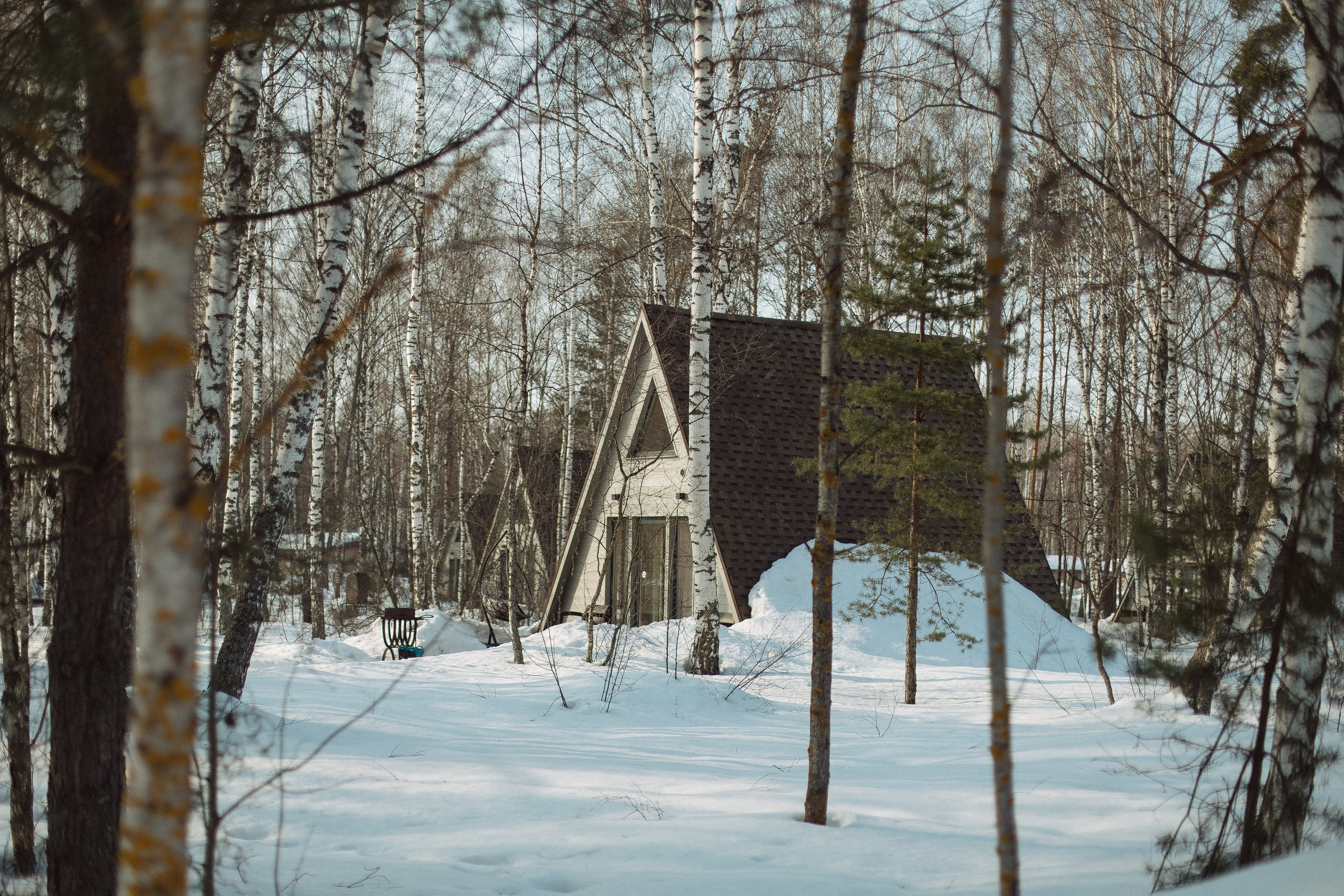 Экопарк ПОЛЯНЫ. Главная