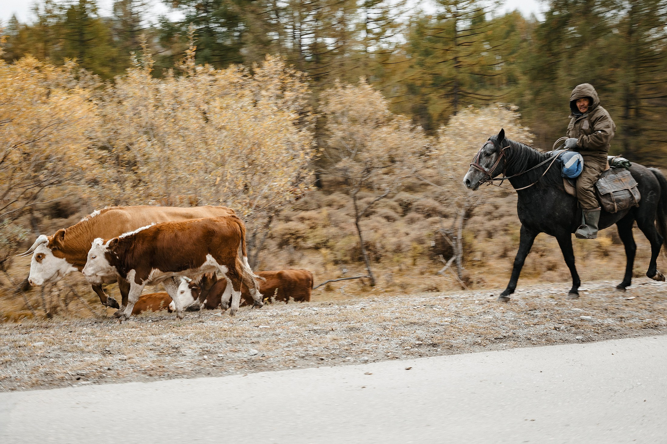 Женя и Яна. Свадебный фотограф в Москве и МО Александр Ласковенков