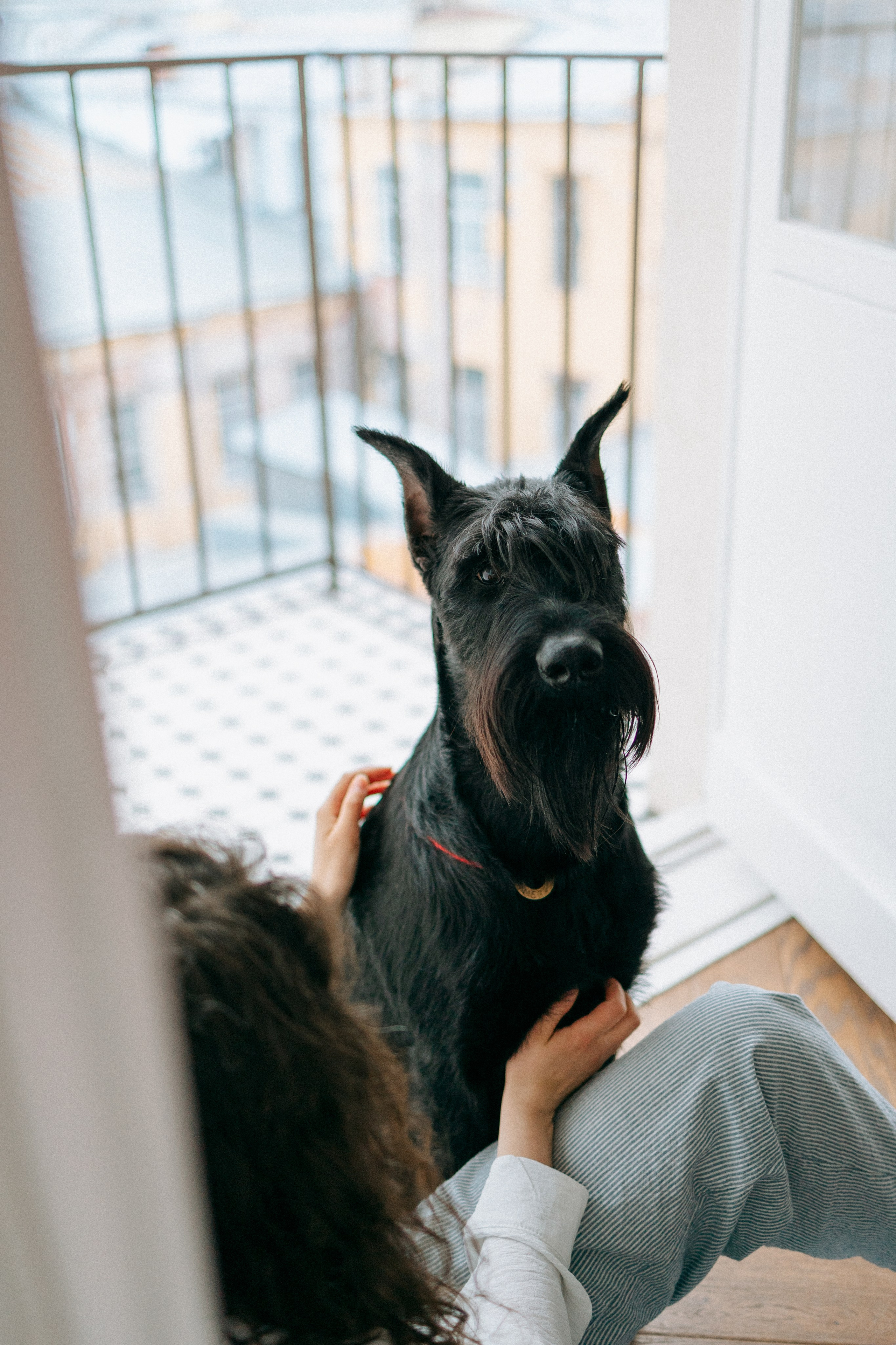 Умбра и Даша. Фотограф анималист Анастасия Пикей