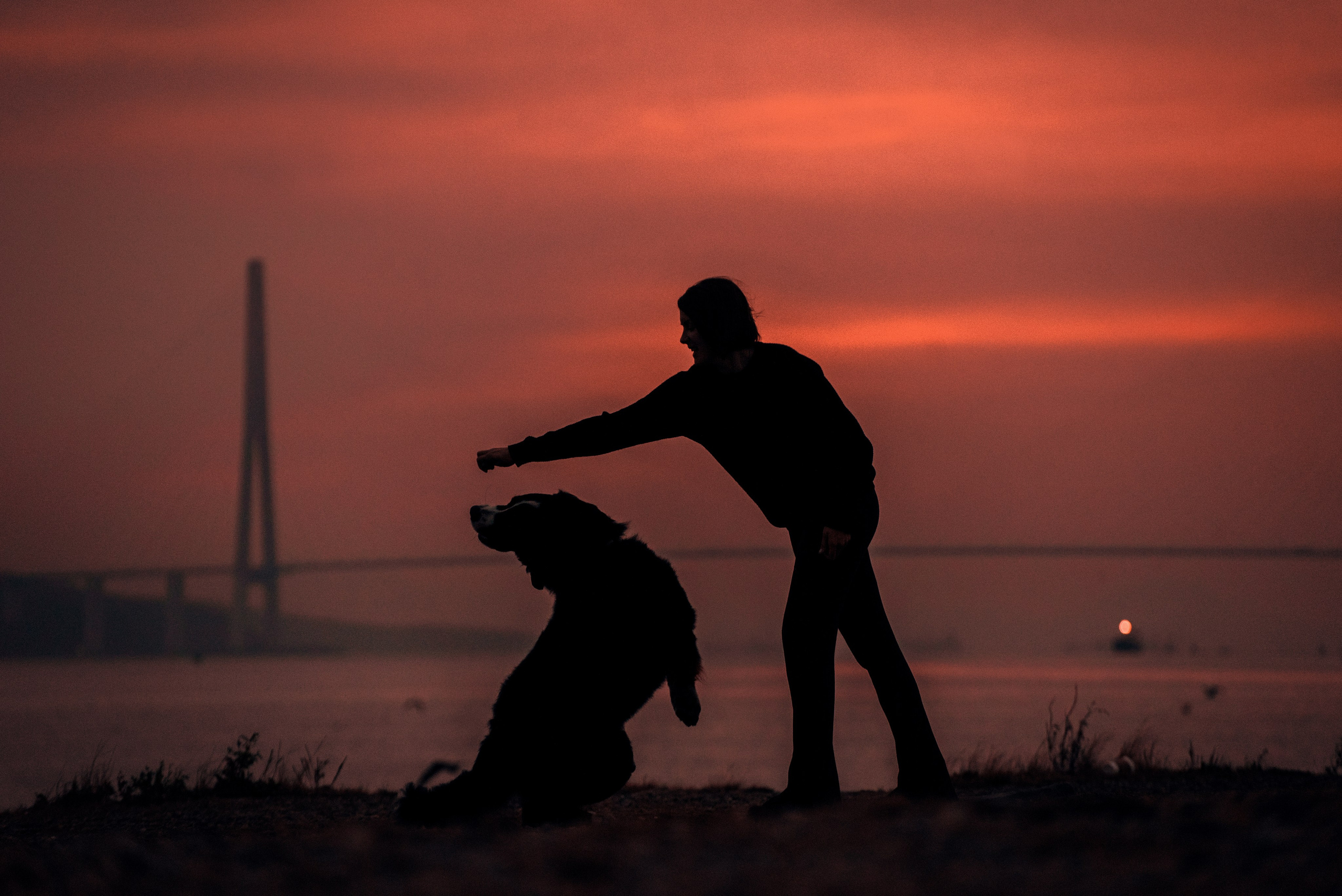 Владивосток: Марс и Маша. Портфолио