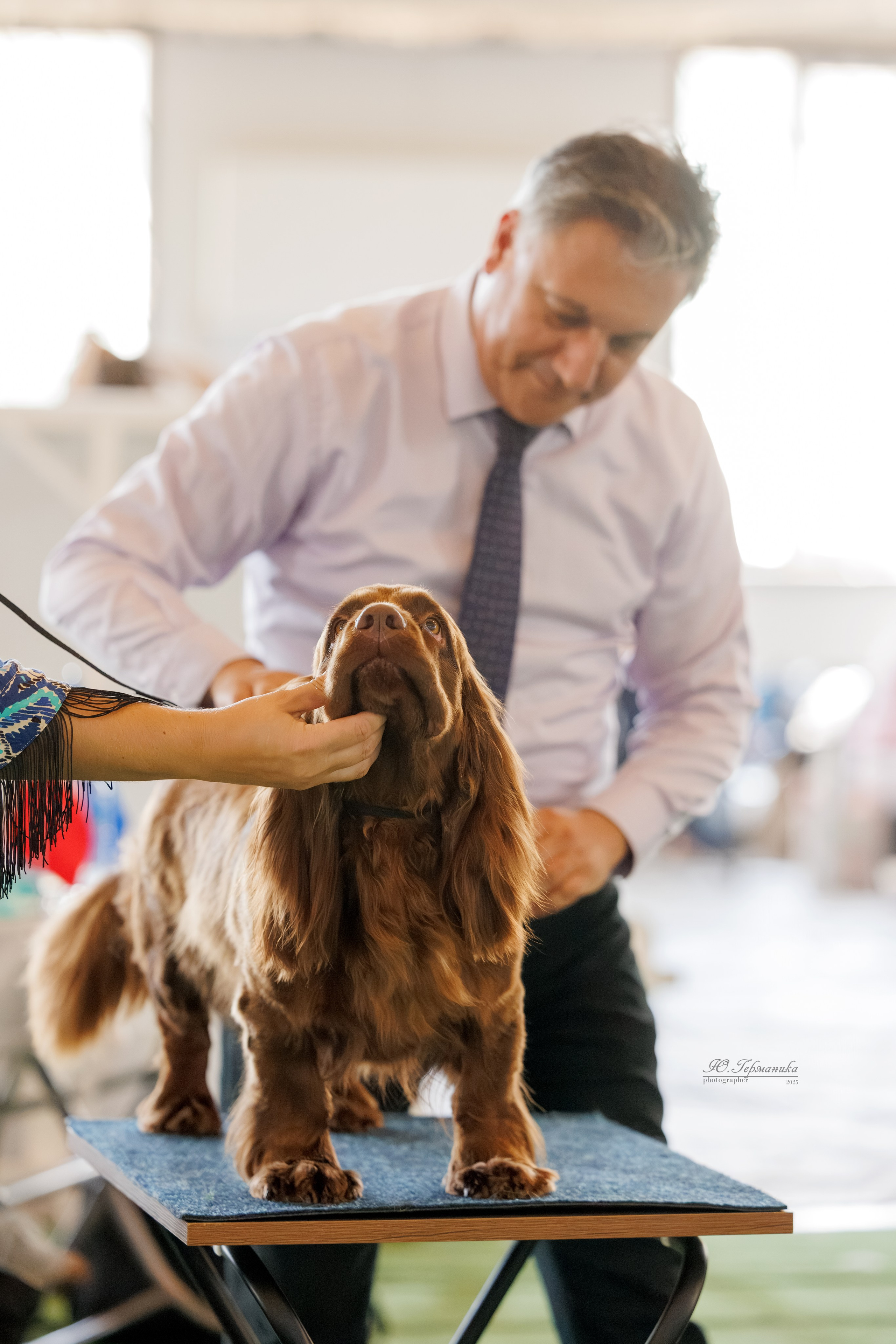 Батуми 3хCACIB 27-29.06.2025. Фотограф-анималист Юлия Германика