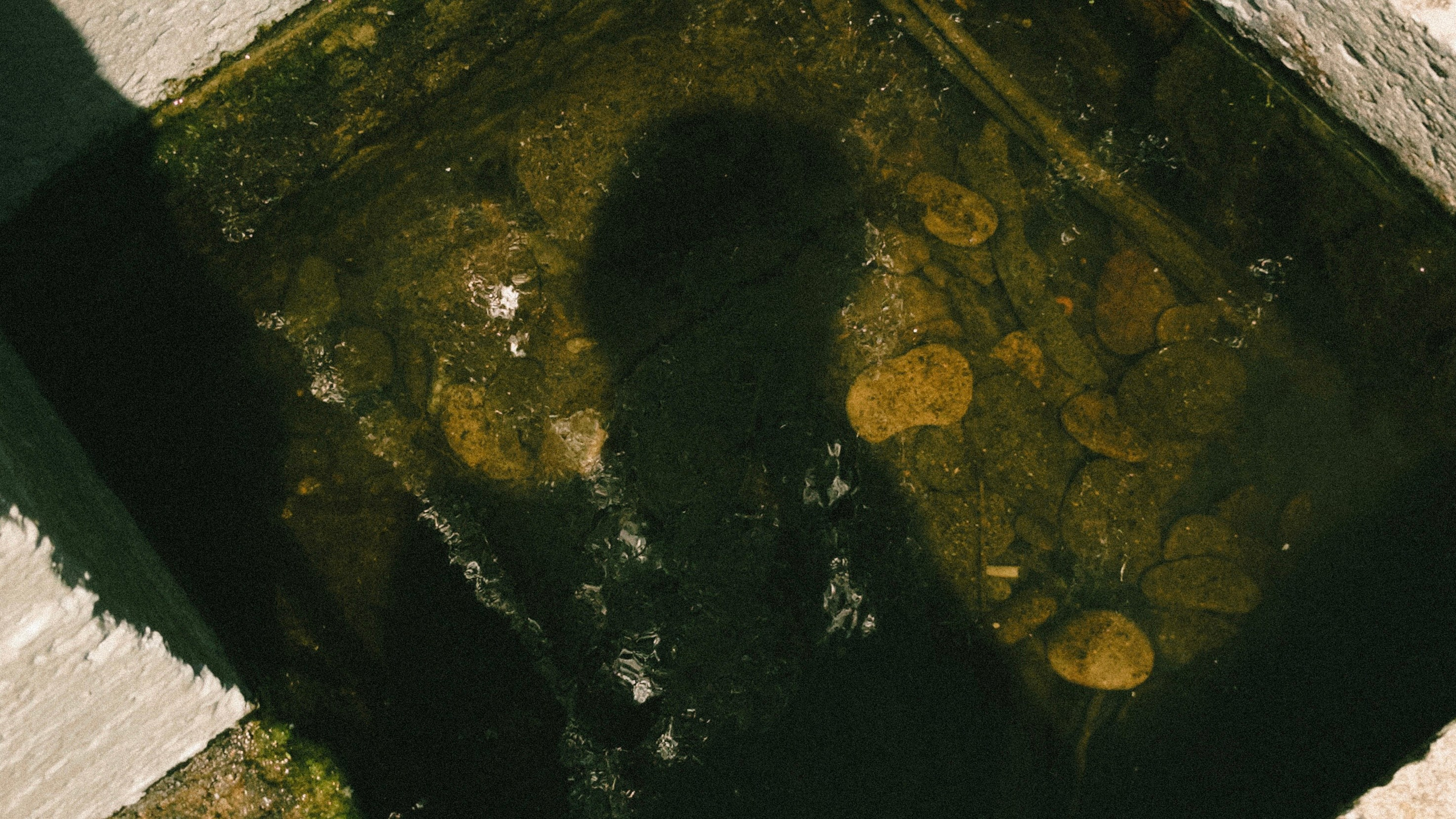 Все стрит фото. Портретный и лавстори фотограф в Стерлитамаке Альбина Шарт