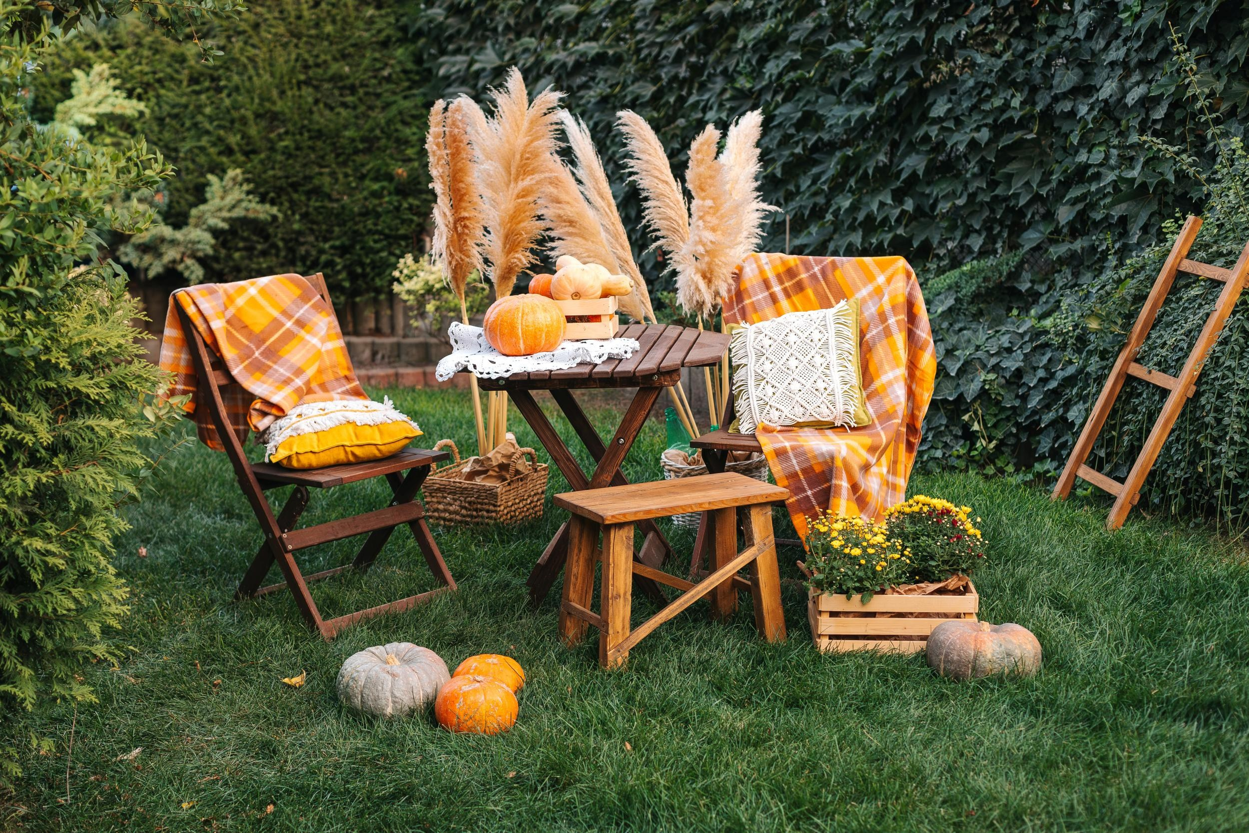 Осенний ФОТОДЕНЬ. Фотограф Марина Верятинская | Краснодар