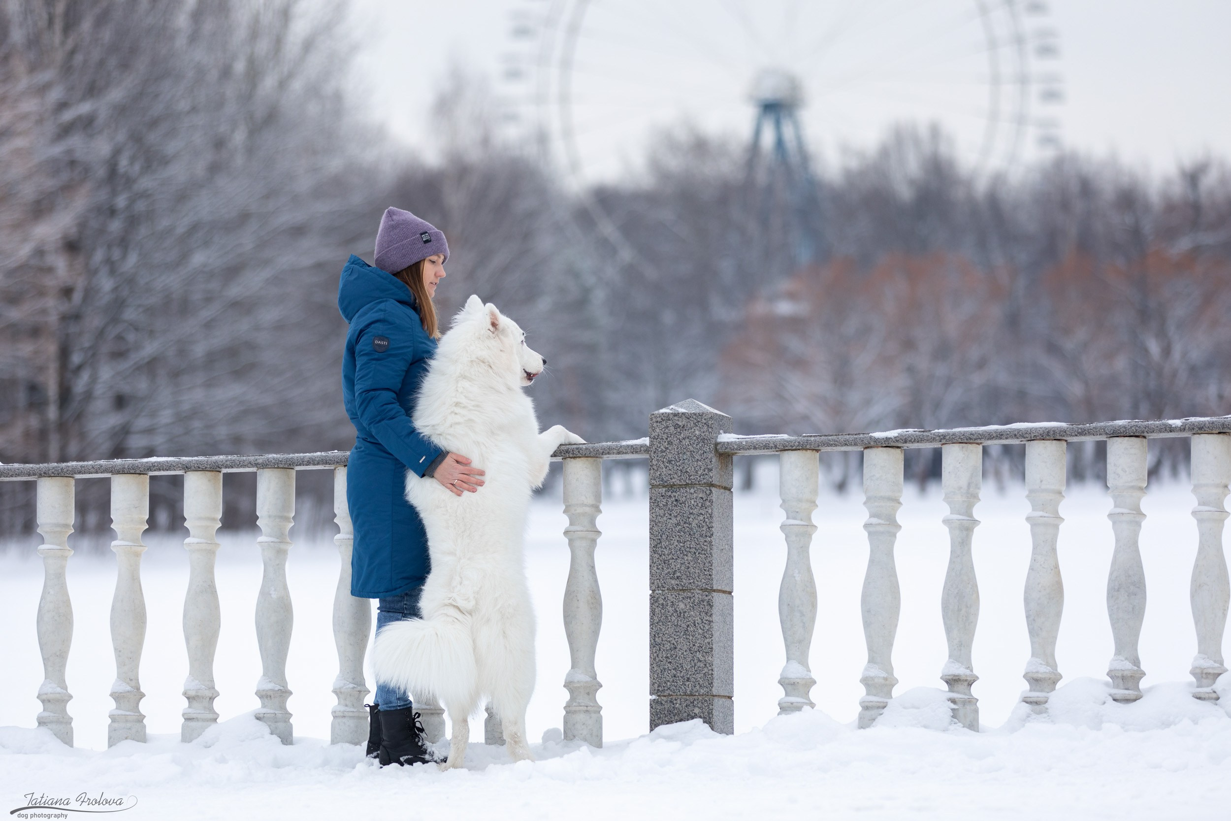 Фотопрогулка в парке Измайлово с якутской лайкой и его хозяйкой. Фотограф-анималист в Москве и Московской области Татьяна Фролова