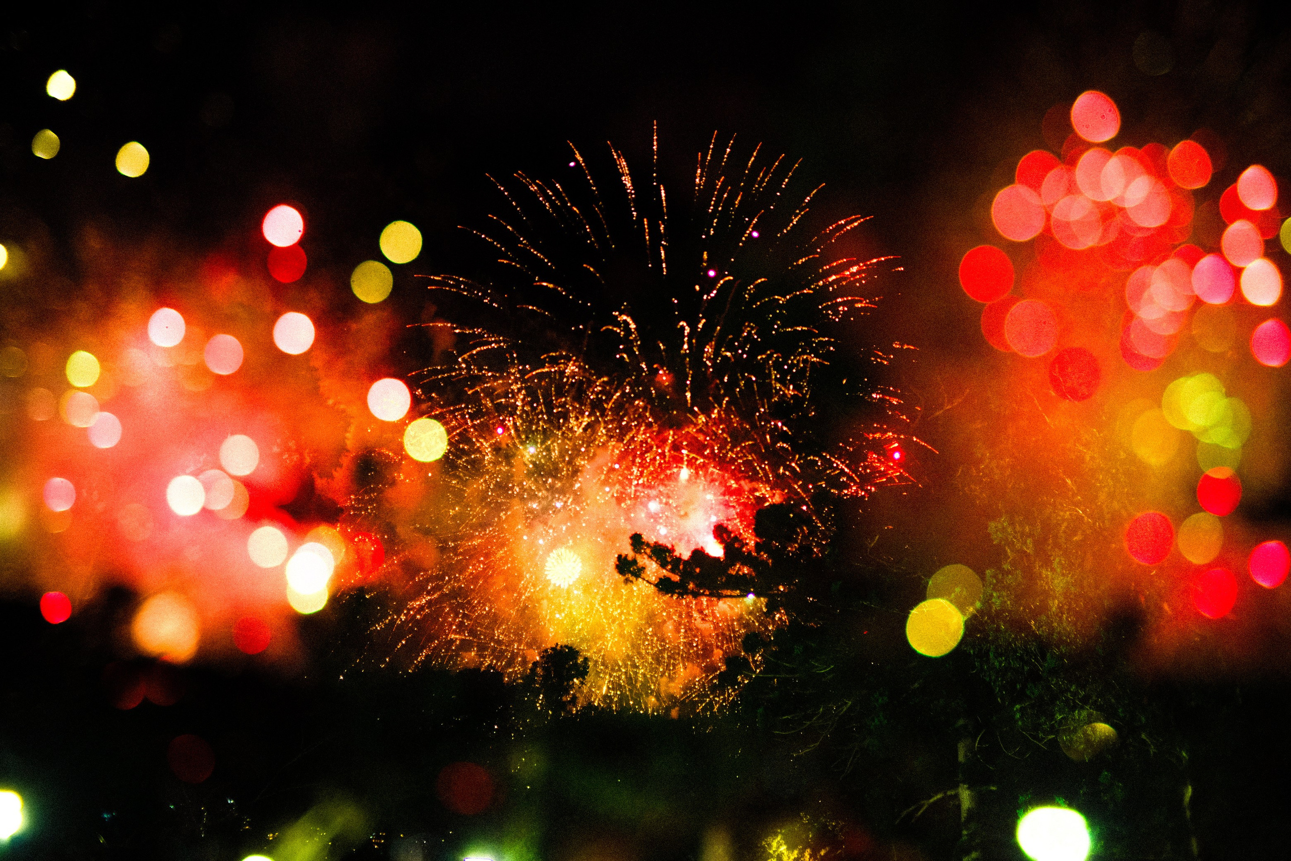 Professional Lessons from 2024: What Worked, What Changed, and What’s Next. Color Photography & Videography in Moscow | by Lil Kicha