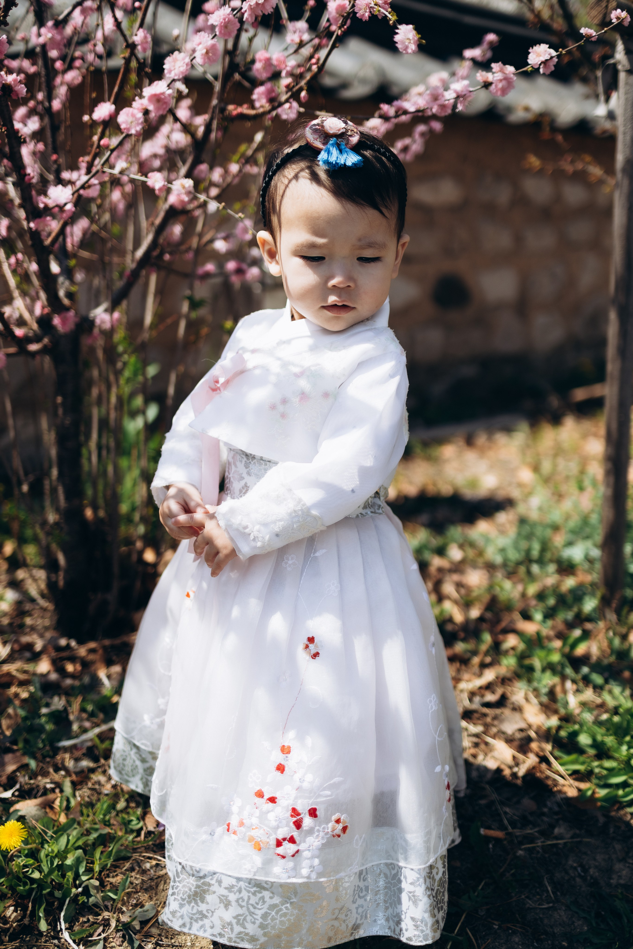 Семейная фотосессия в Кёнджу. Фотограф Артем Бросов в Санкт-Петербурге и Дубае