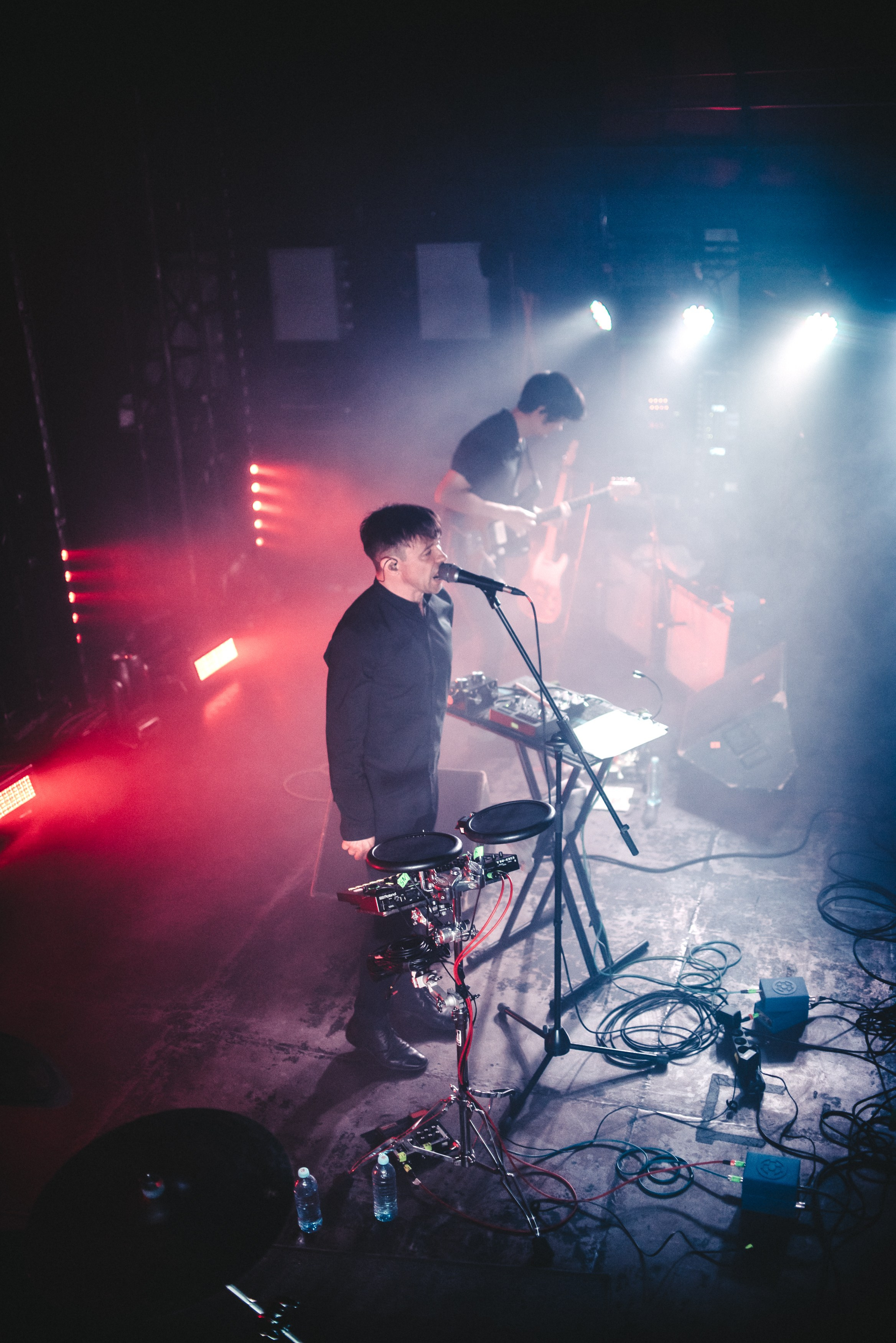 Дельфин | Gaudi. Контент фотограф Илья Урс