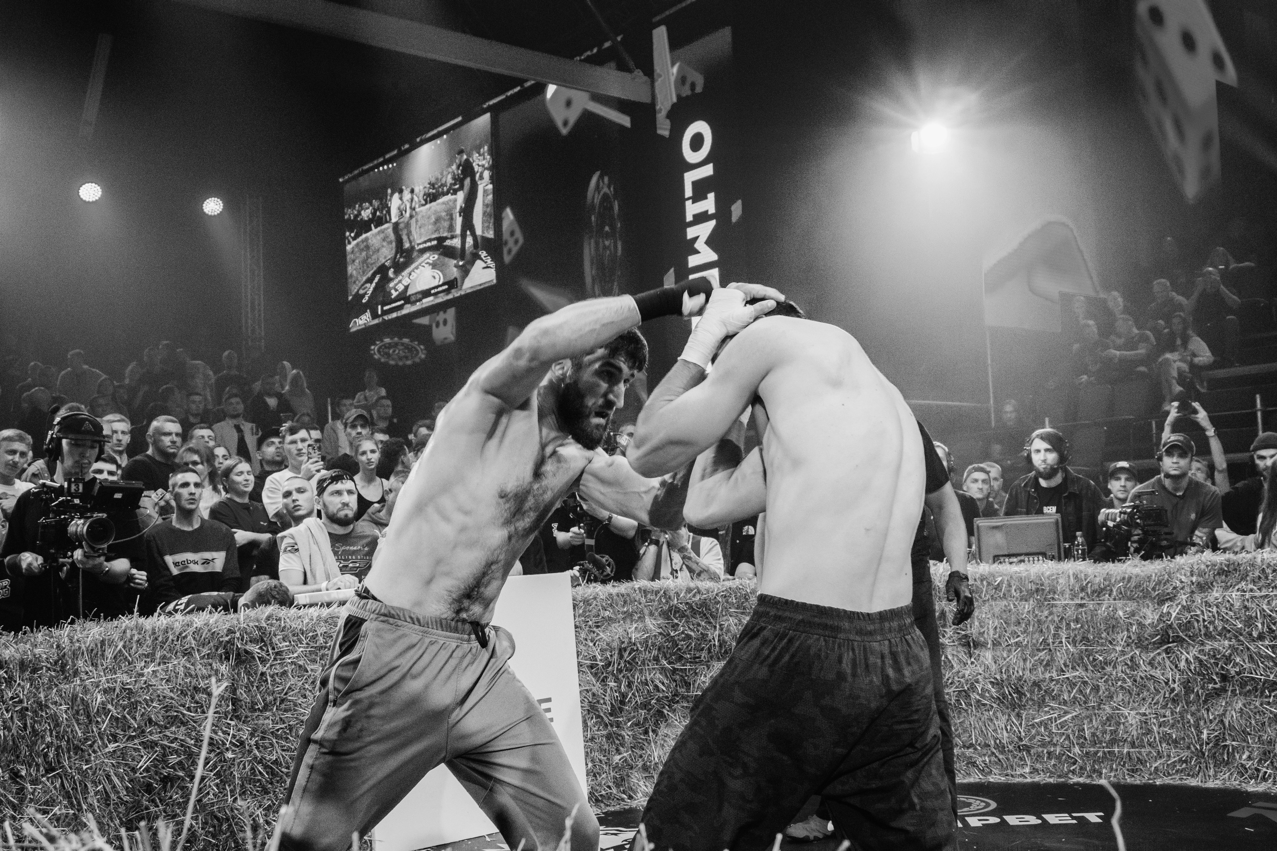 Кулачные бои TopDog. Анастасия Тен