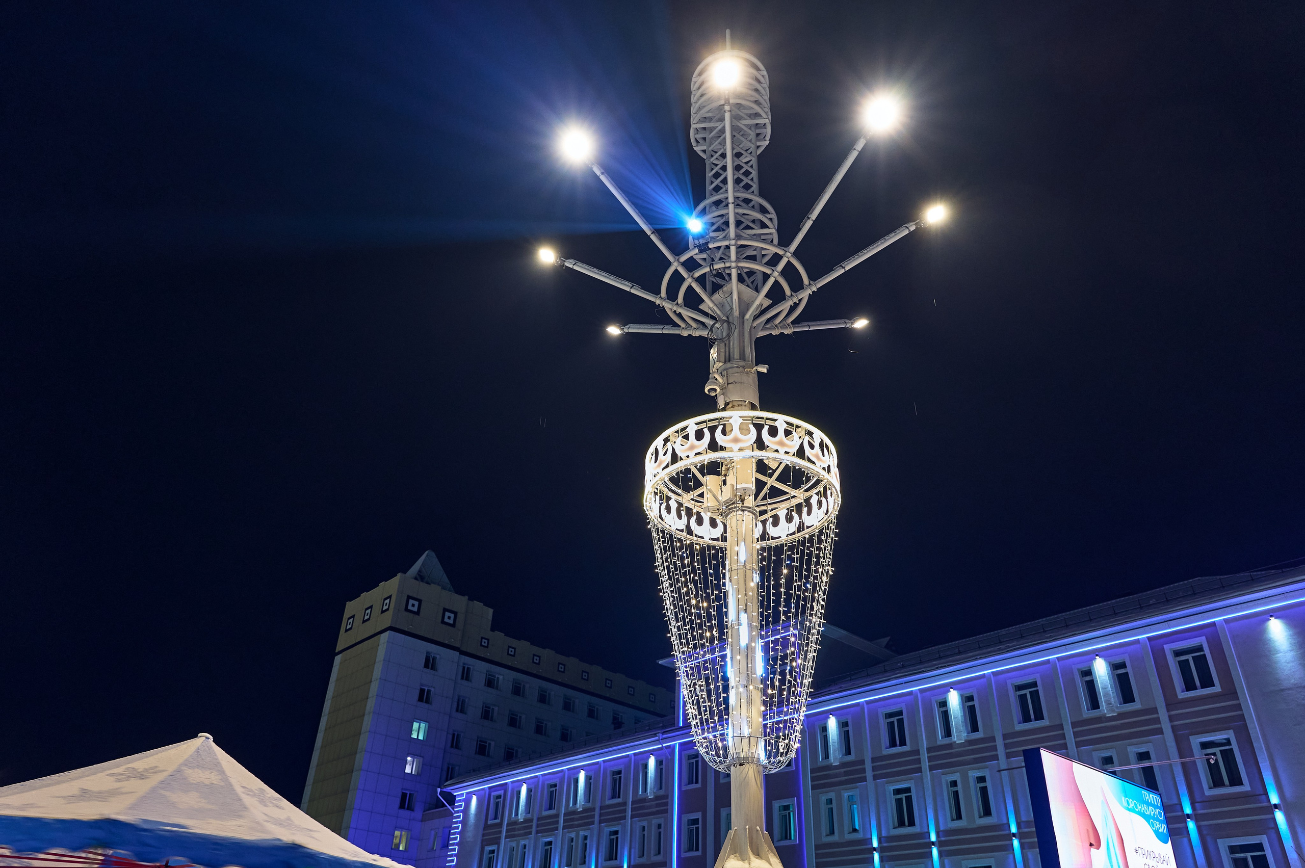 Новогодние украшения. Фотограф Опыт Качество Скорость Горный Алтай Барнаул