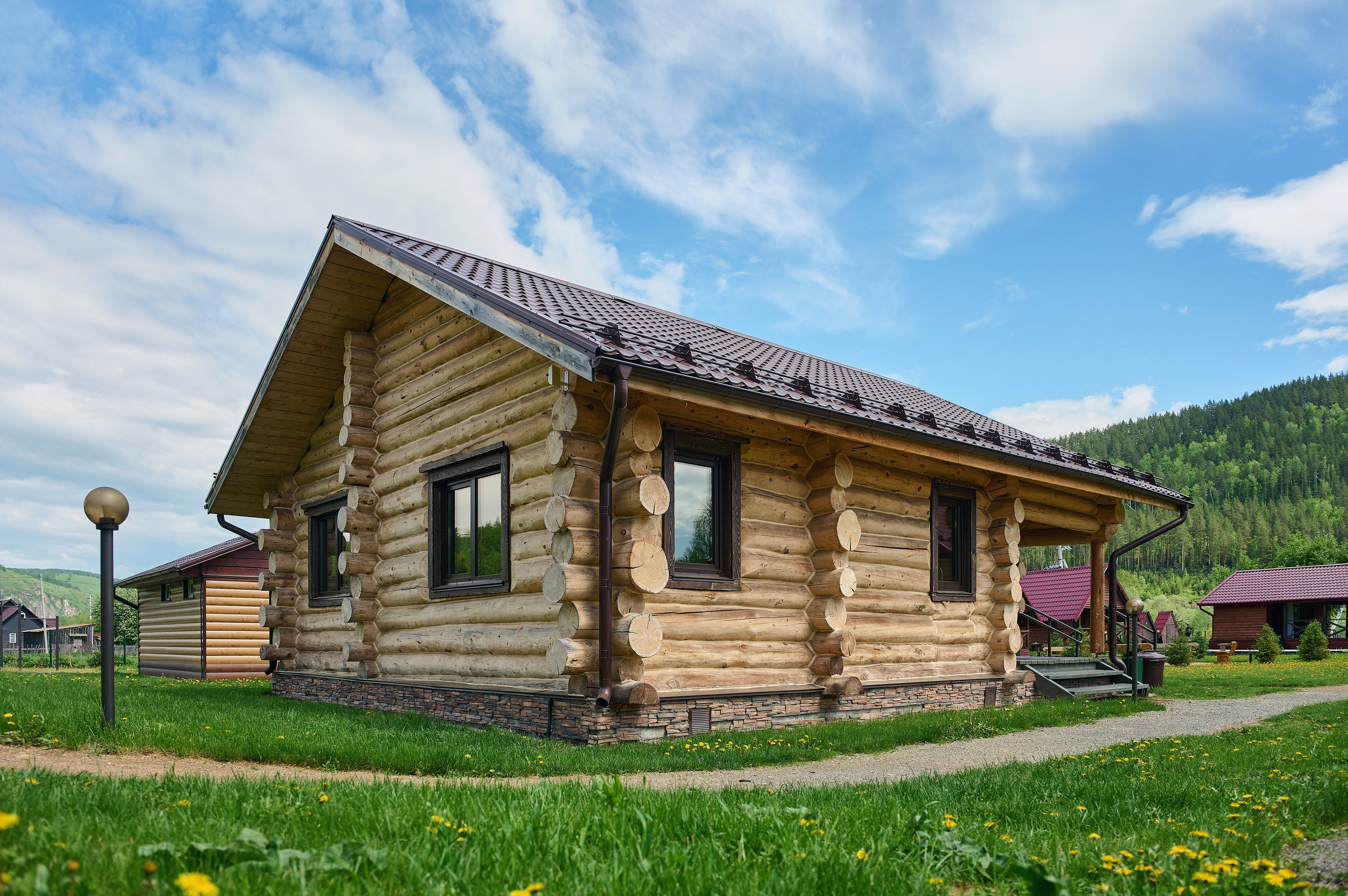 Кедровый берег. Фотограф Опыт Качество Скорость Горный Алтай Барнаул