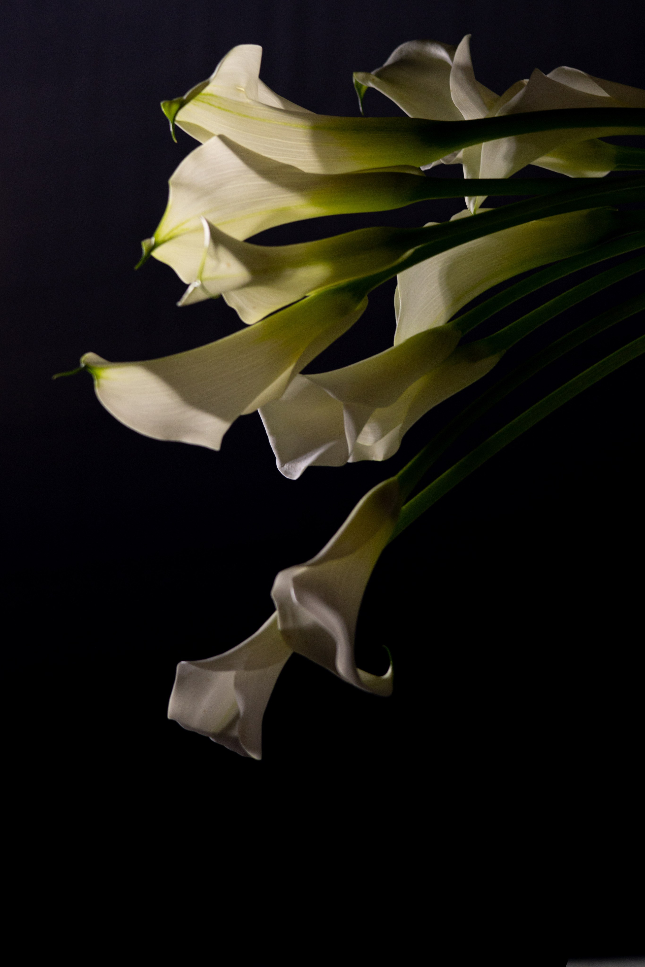 Лера & Алексей. Ресторан «TOUCH». Оформление свадеб, декор свадеб Вера Маркова, Москва