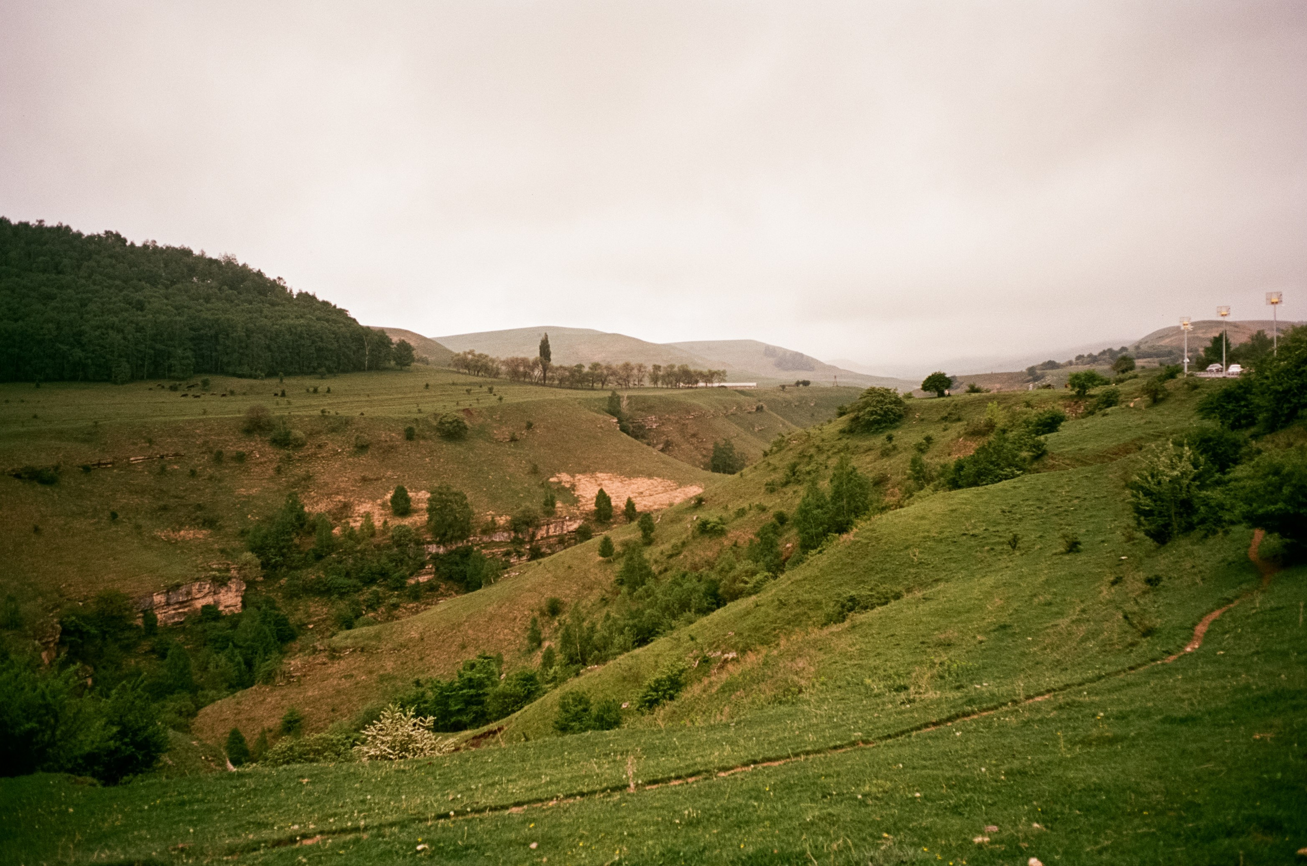 Кисловодск, дорога в сторону метеостанции, туман, лошади / Voigtlander