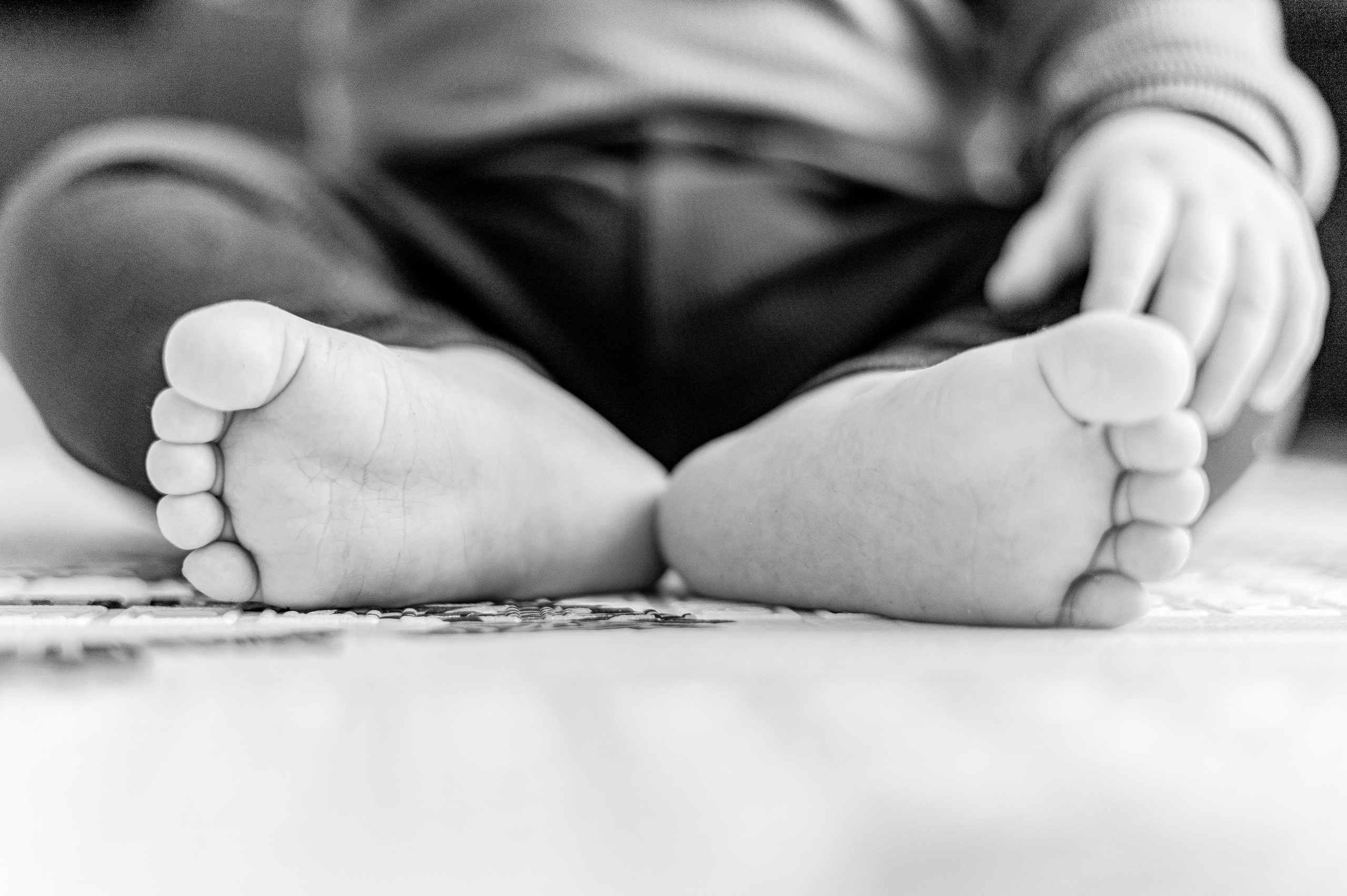 ЛЮБИМЧИК ГАСПАРЧИК. Фотограф Москва Екатерина Бондаренко