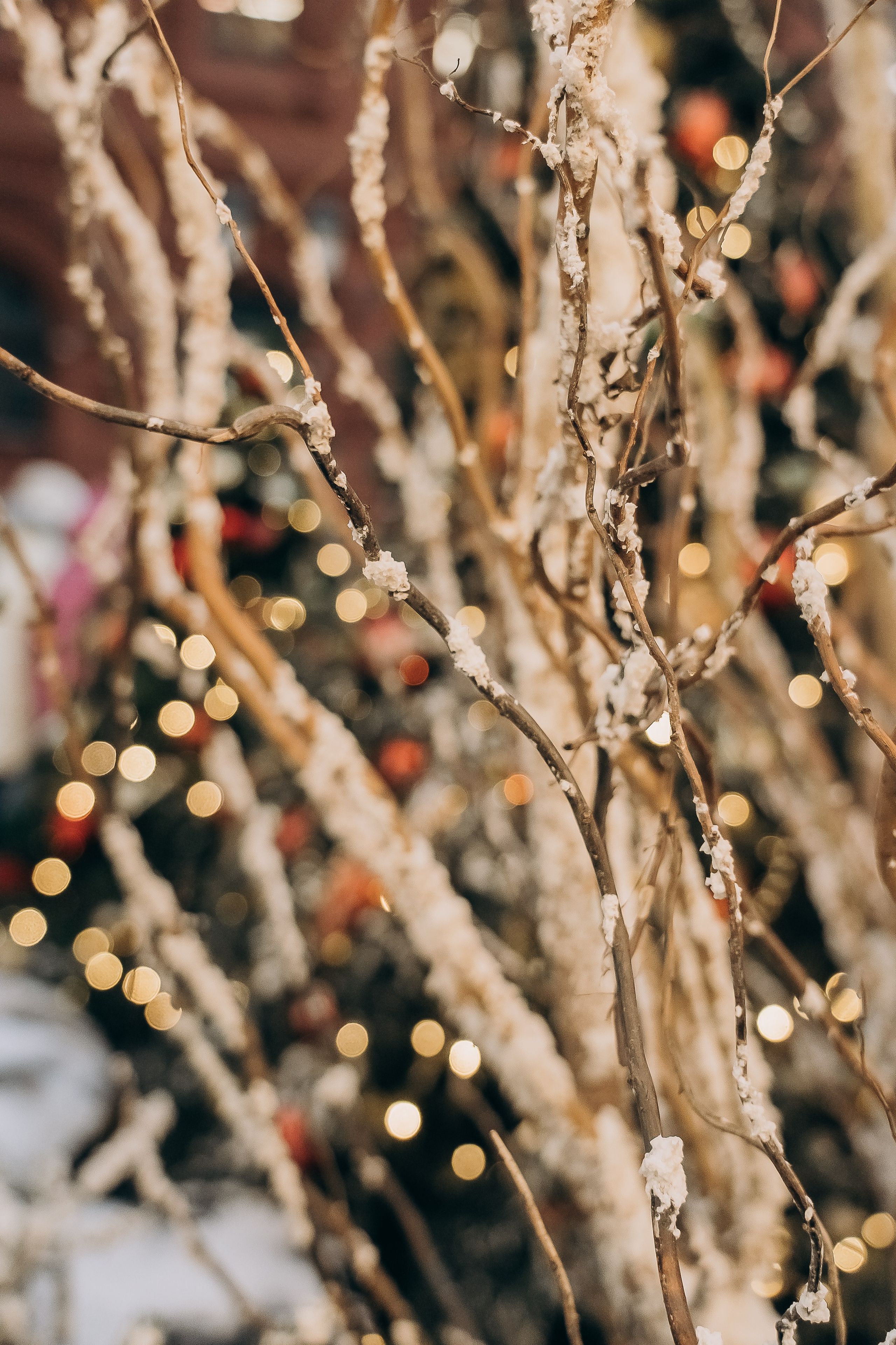 НОВОГОДНЕЕ ВОЛШЕБСТВО. Фотограф Москва Екатерина Бондаренко