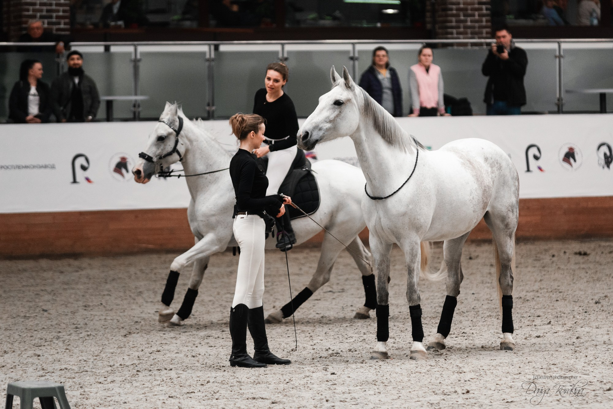 8-я международная выставка Конная Россия. Конный фотограф Куракина Дарья • Фотосессии с лошадьми