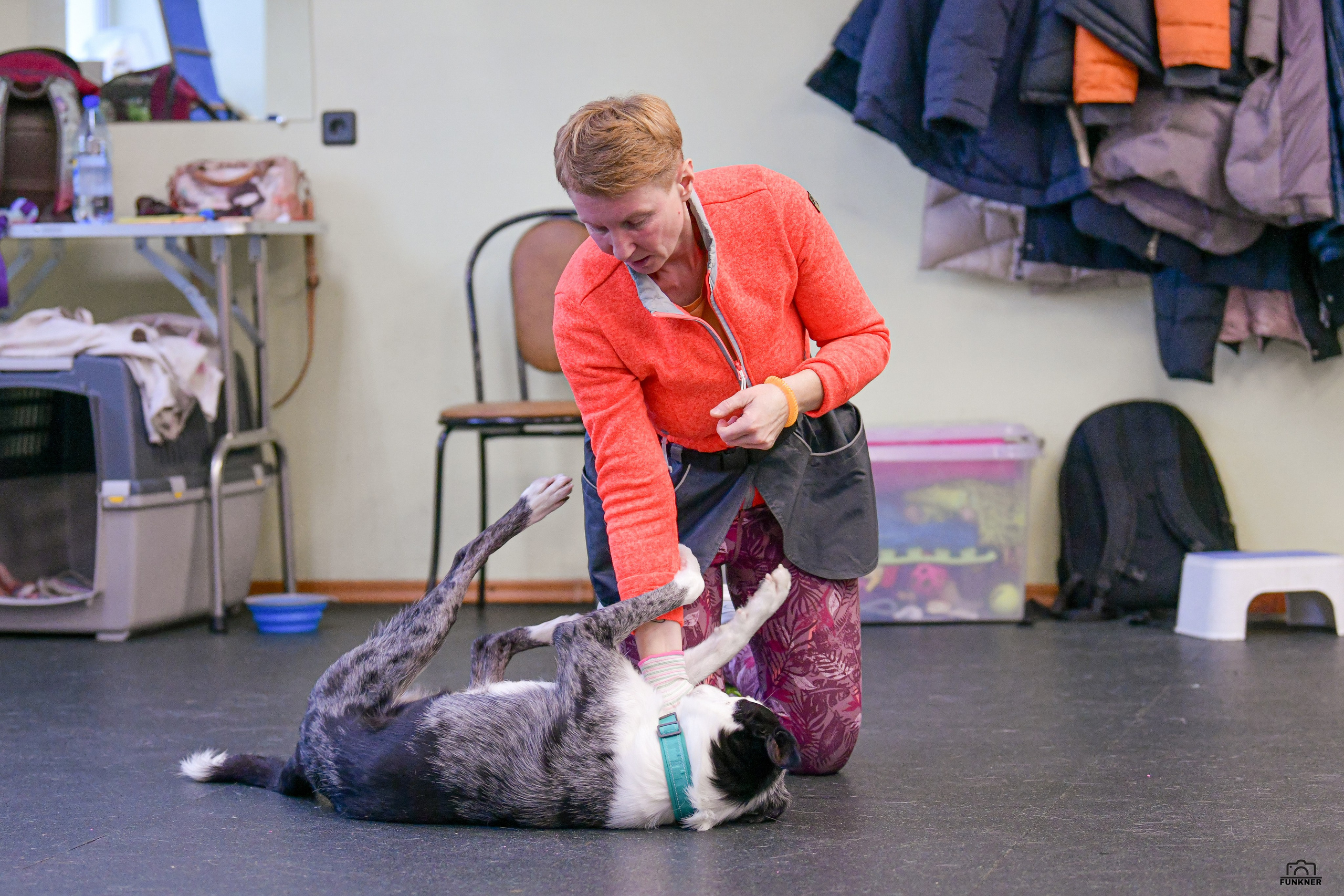 Кинологический клуб «Бодрый хвост». Свой взгляд через объектив