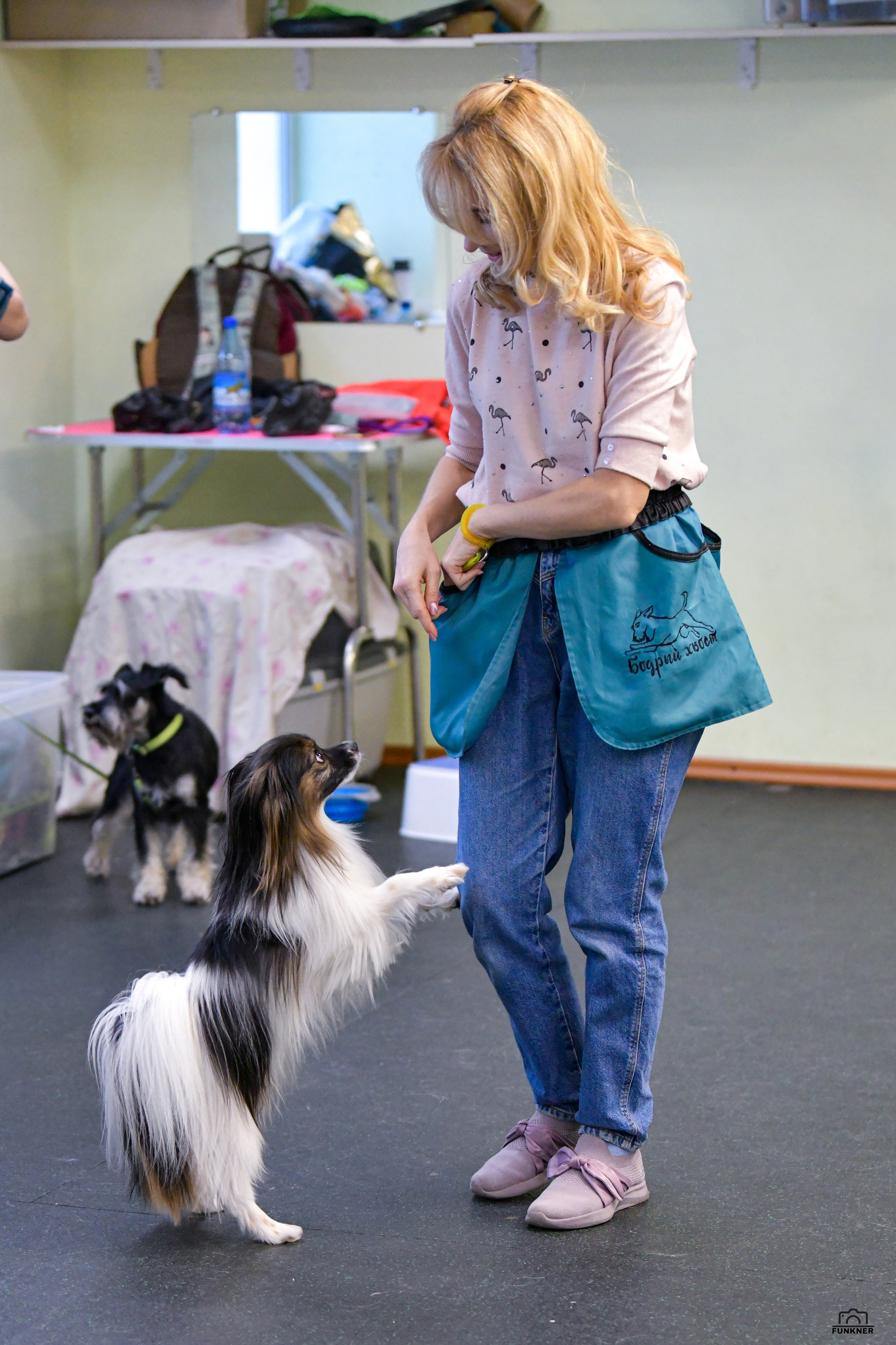 Кинологический клуб «Бодрый хвост». Свой взгляд через объектив