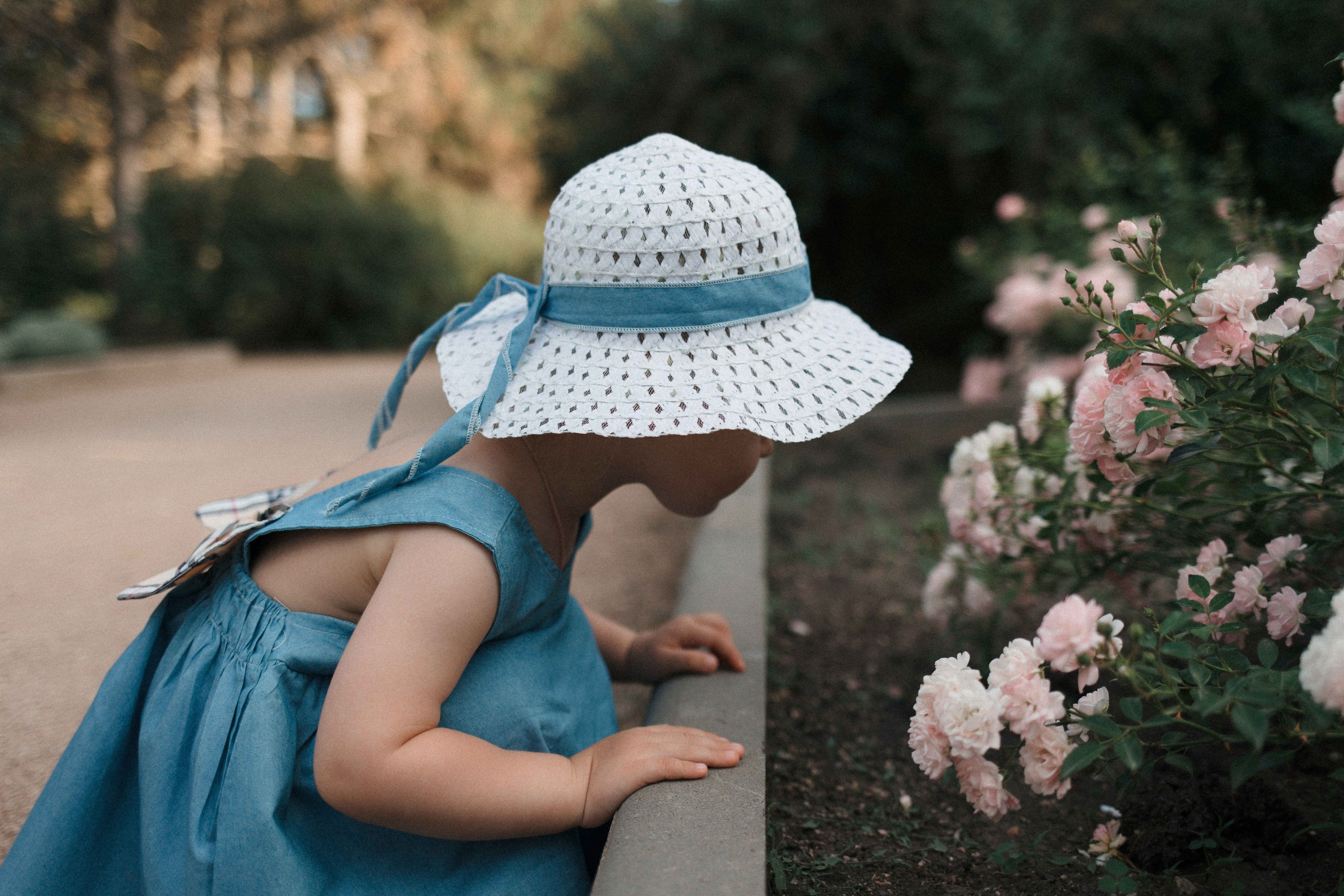 Парк, вечер). Свадебный фотограф Мироманов Николай в Крыму